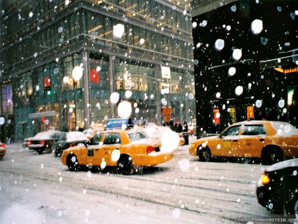 Alberi di Natale New York, 1920x1080 Full HD 1080p, PC