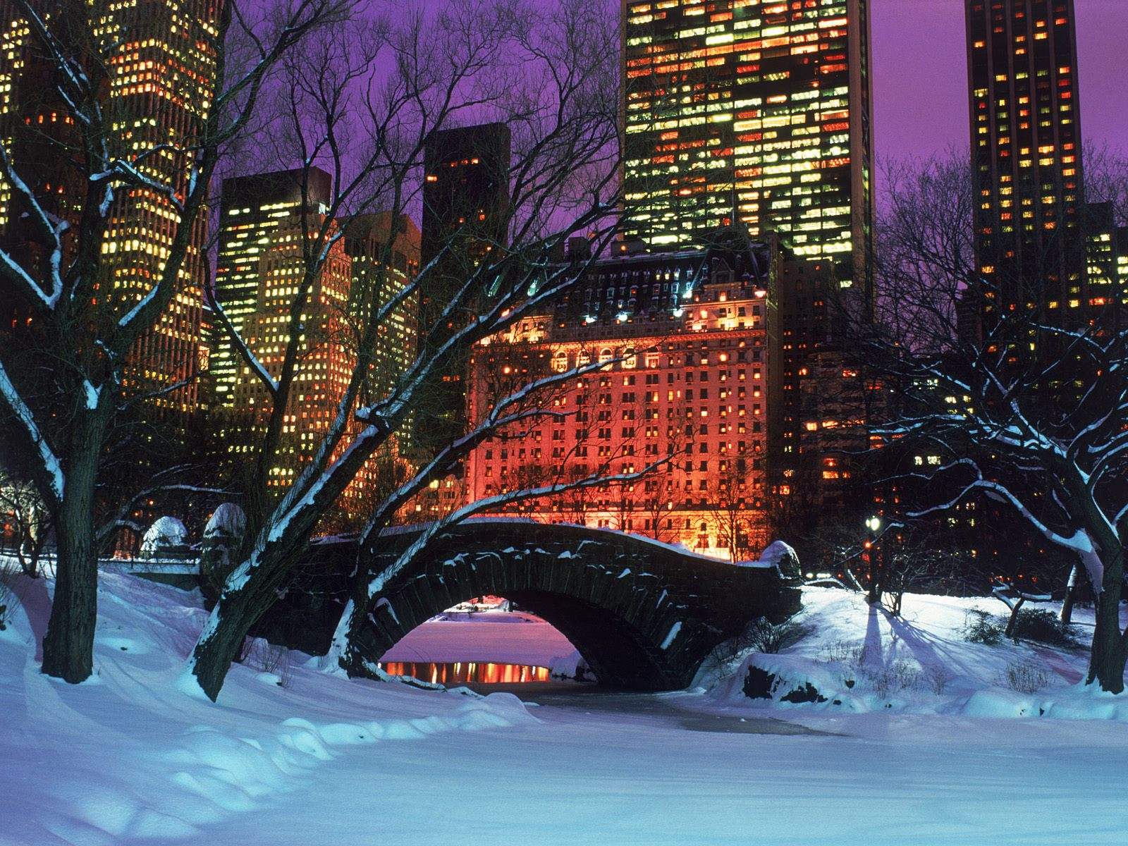 Central Park New York inverno, 1600x1200 900p, MacBook Air