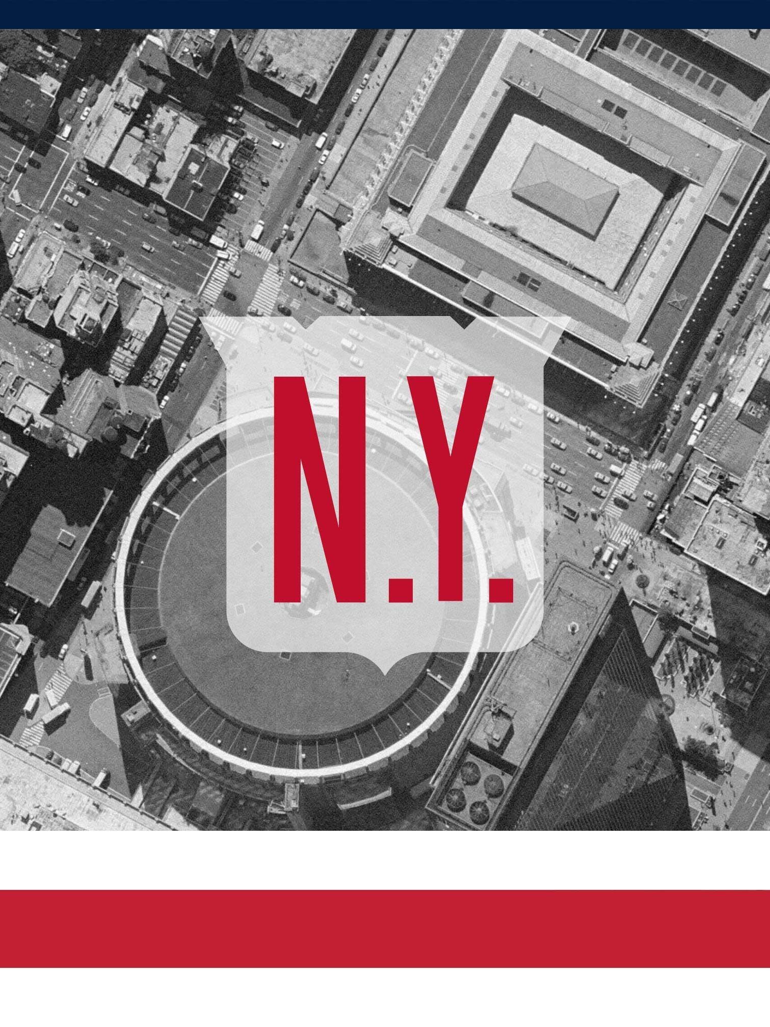 New York vista aerea logo, 1511x2015 Verticale, iPhone Air