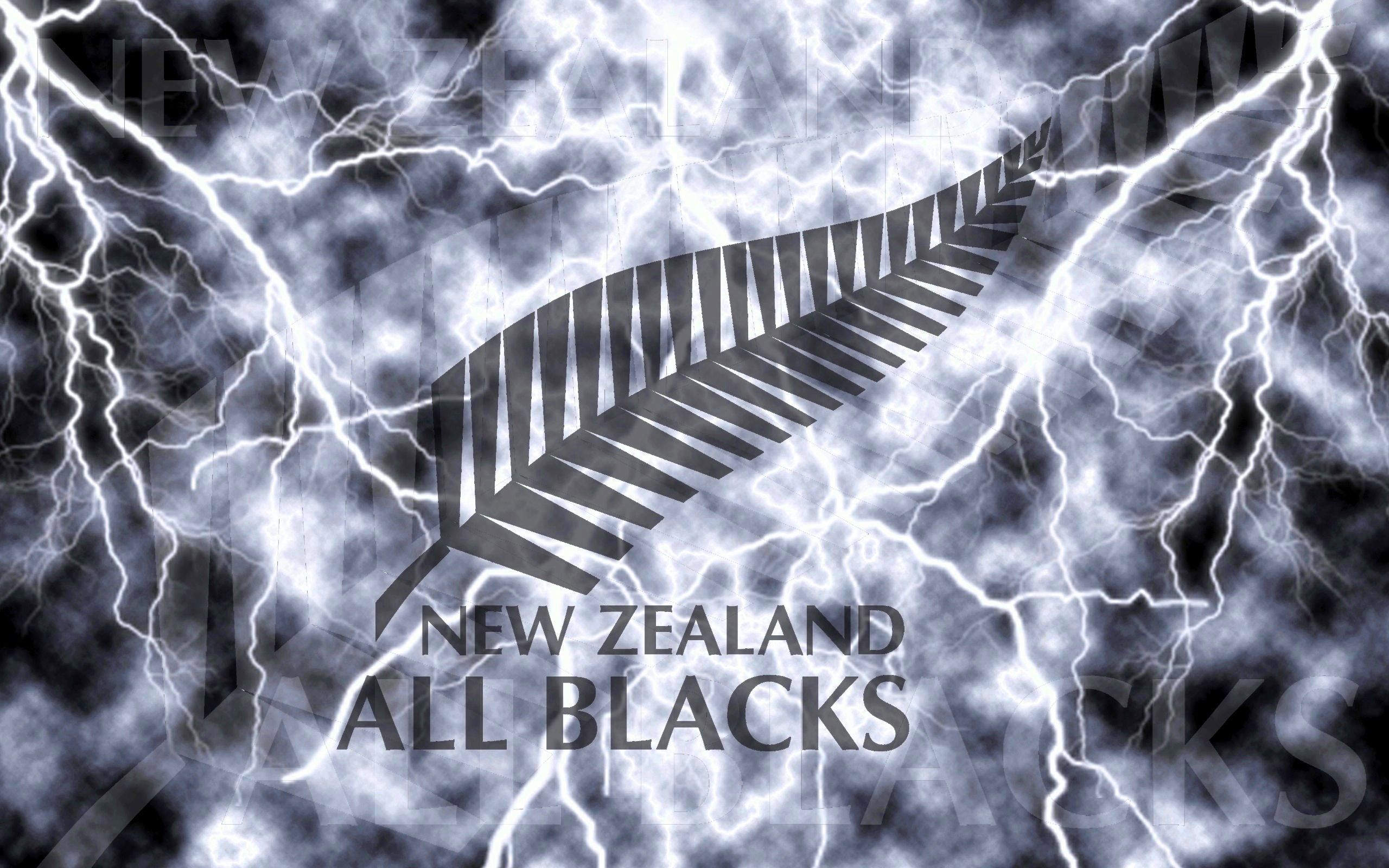 Logo All Blacks felce argento, 1024x768 HD, Desktop