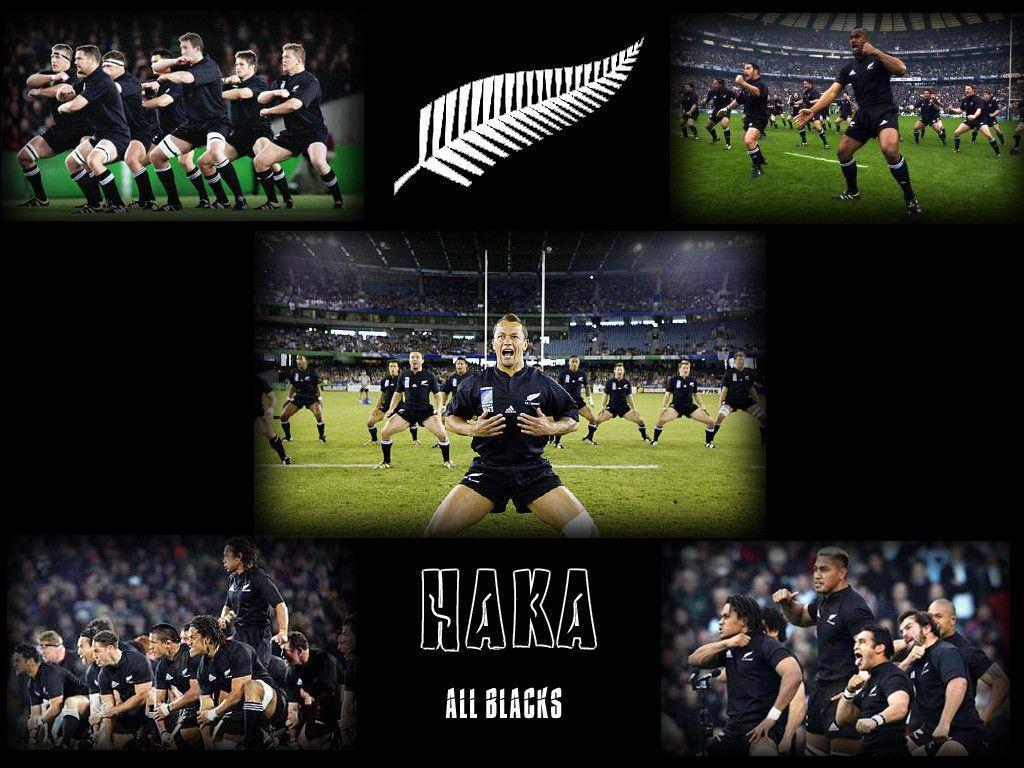 Logo All Blacks rugby Nuova Zelanda, 2560x1440 2K, Desktop