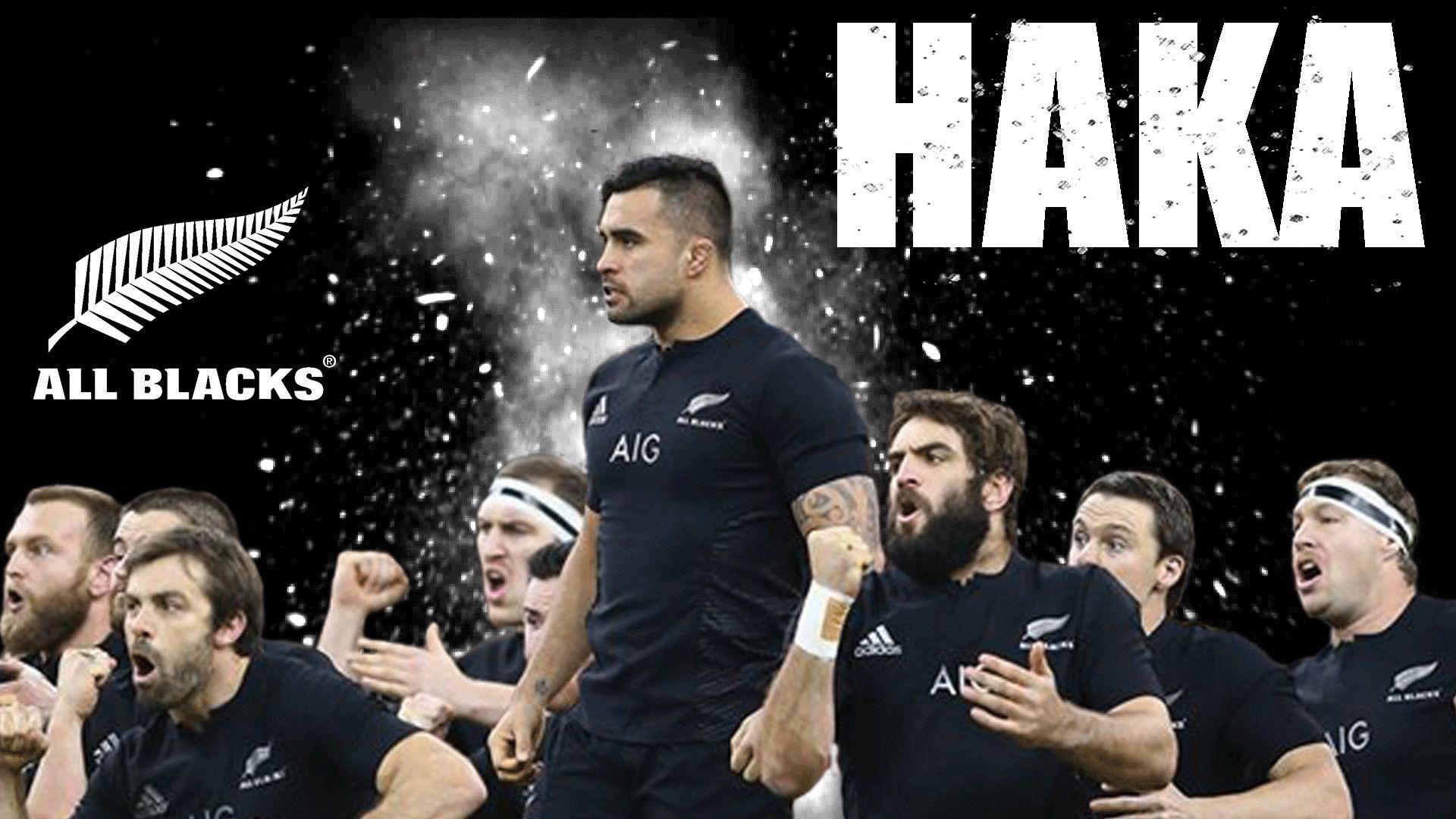 Logo All Blacks felce argentata, 1024x768 HD, Desktop