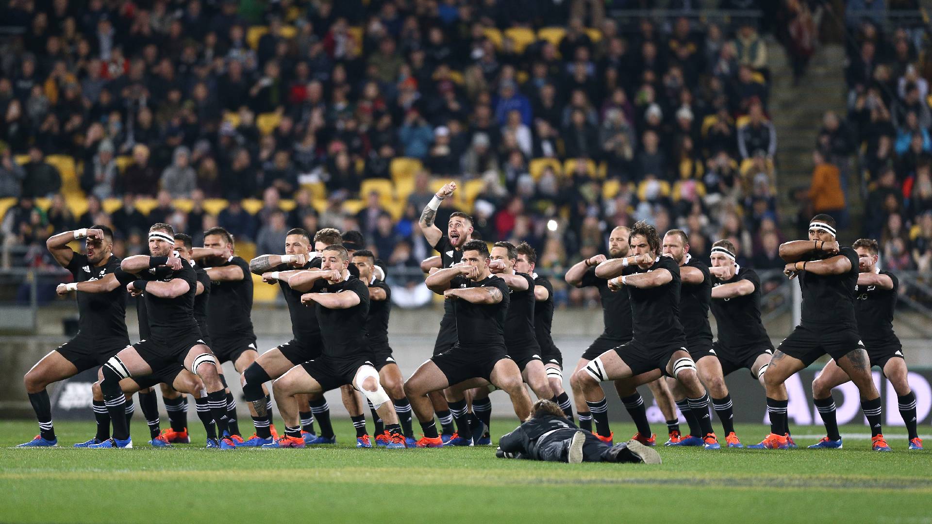 Giocatori rugby All Blacks, 1024x768 HD, Desktop