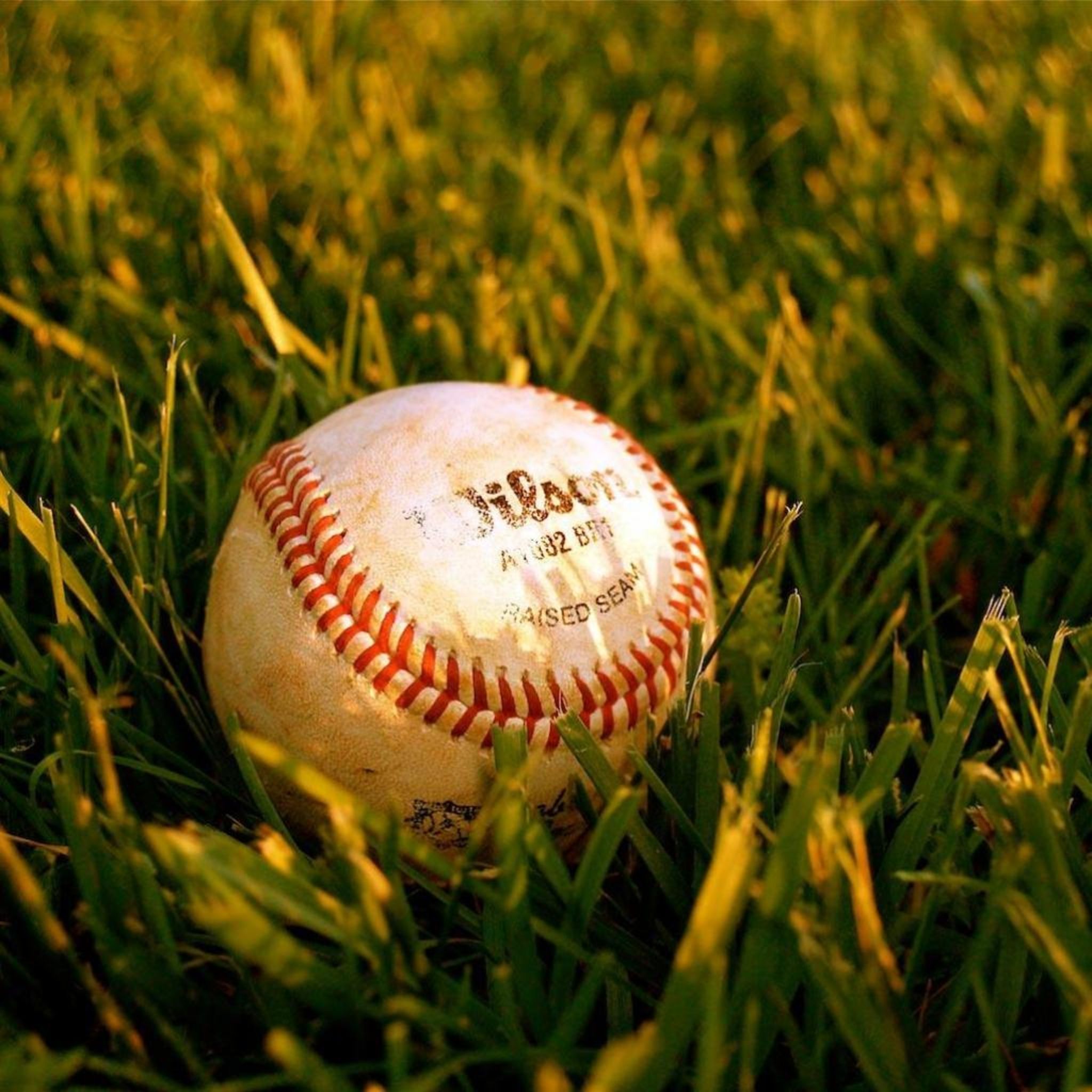 Baseball nell'erba, Wilson, 2048x2048 alta risoluzione, Laptop