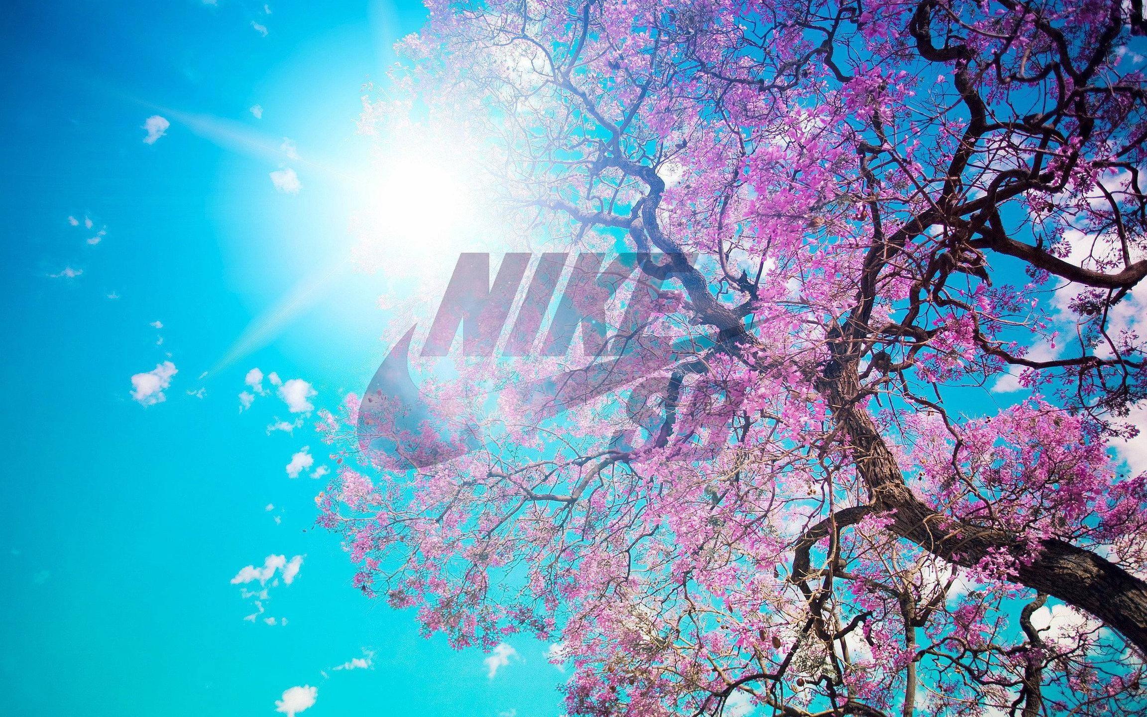 Scarpe tacco Nike viola, 1600x1200 HD, ROG Asus Laptop