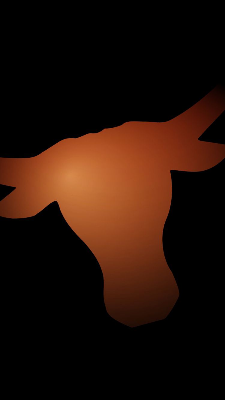 Casco Texas Longhorns bianco, 1280x800 720p, Laptop