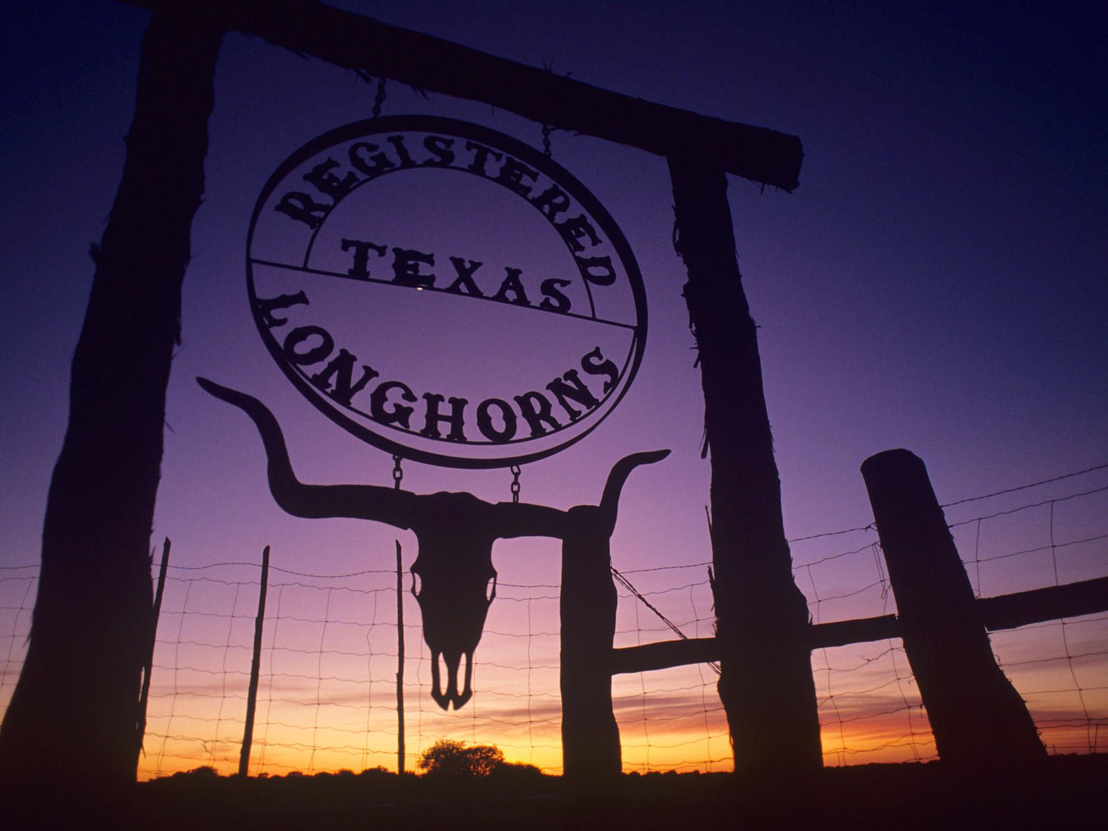 Insegna Texas Longhorns al tramonto, 1600x1200 HD, Desktop