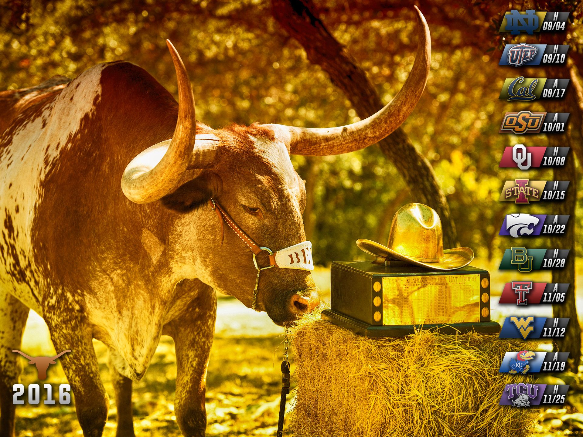 Giocatore football Texas Longhorns, 1600x900 HD Ready, PC Desktop
