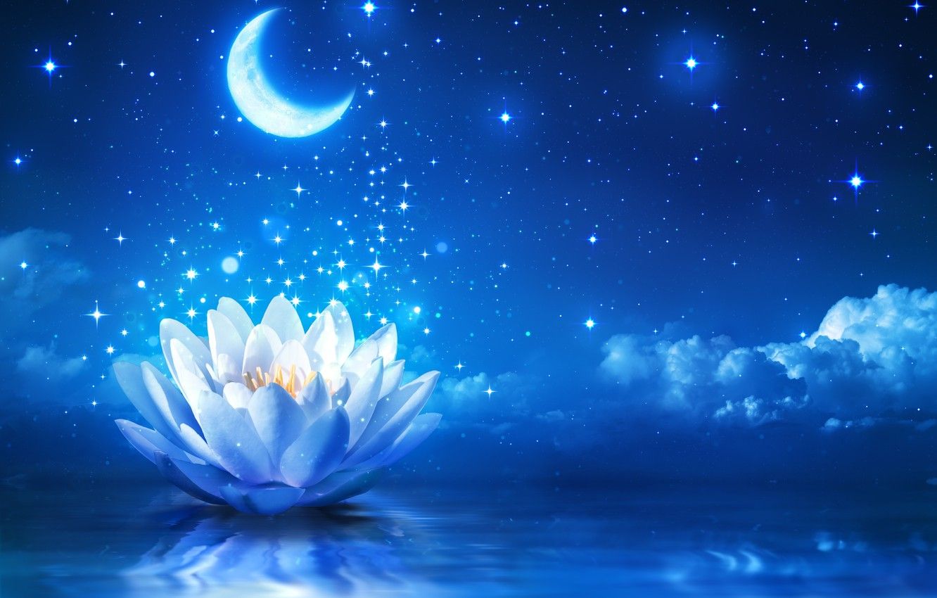 Fiore di loto notturno luccicante, 1332x850 720p, Acer Nitro