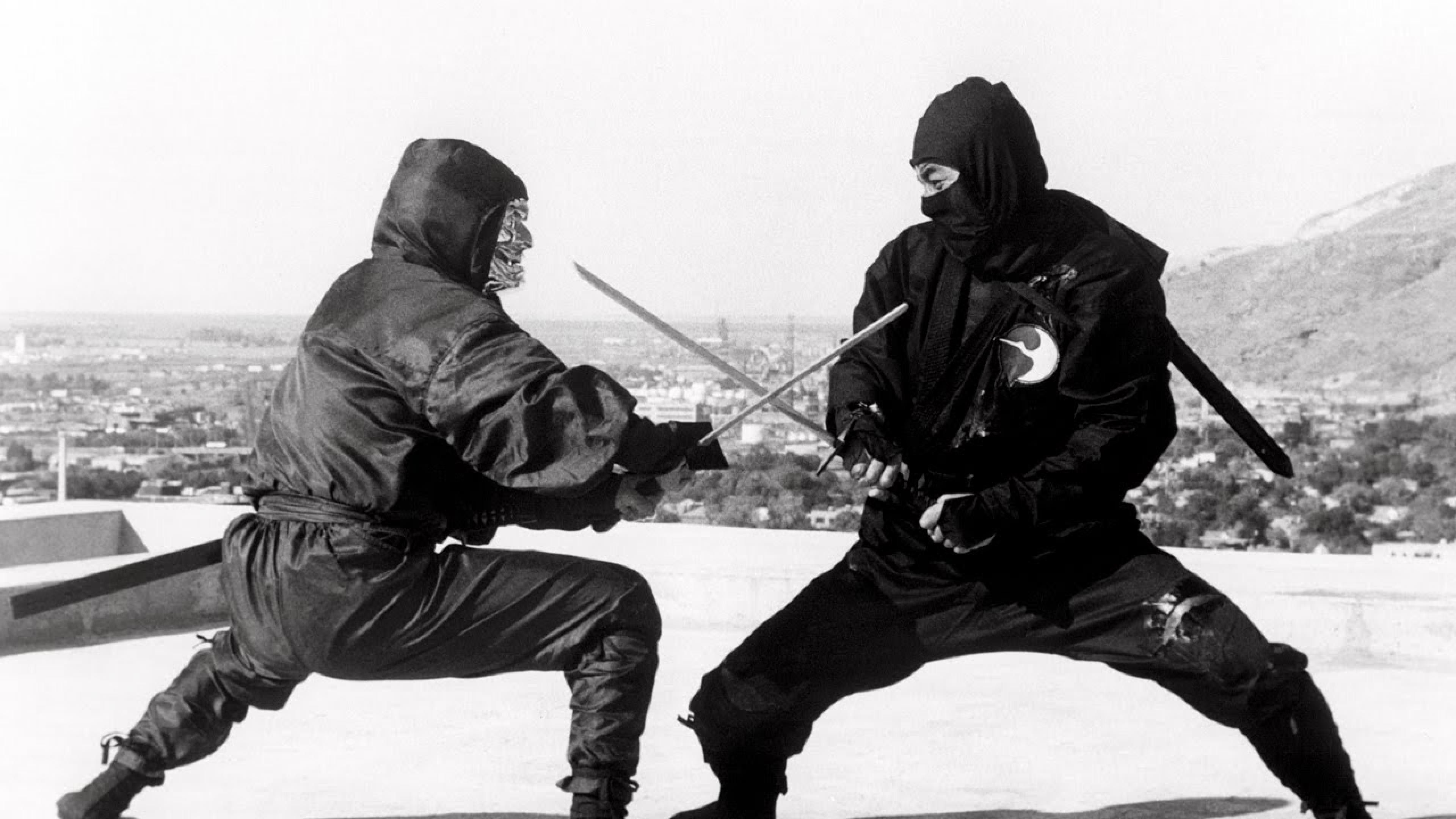 Tartarughe Ninja bianco nero, Leonardo e Raffaello, 1920x1080 Full HD, Desktop