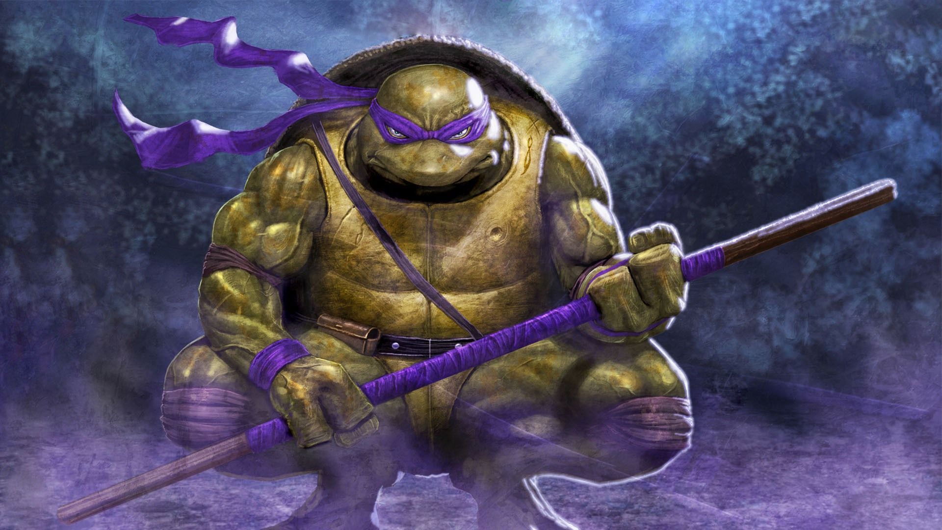 Donatello Tartarughe Ninja cartoon, Leonardo e Raffaello, 1920x1080 Full HD 1080p, Desktop