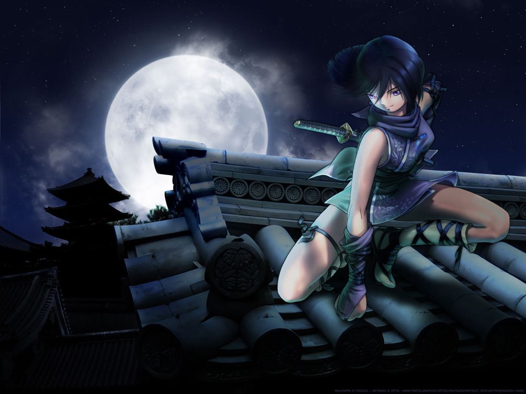 Ninja anime su tetto luna, 1024x768 HD, PC