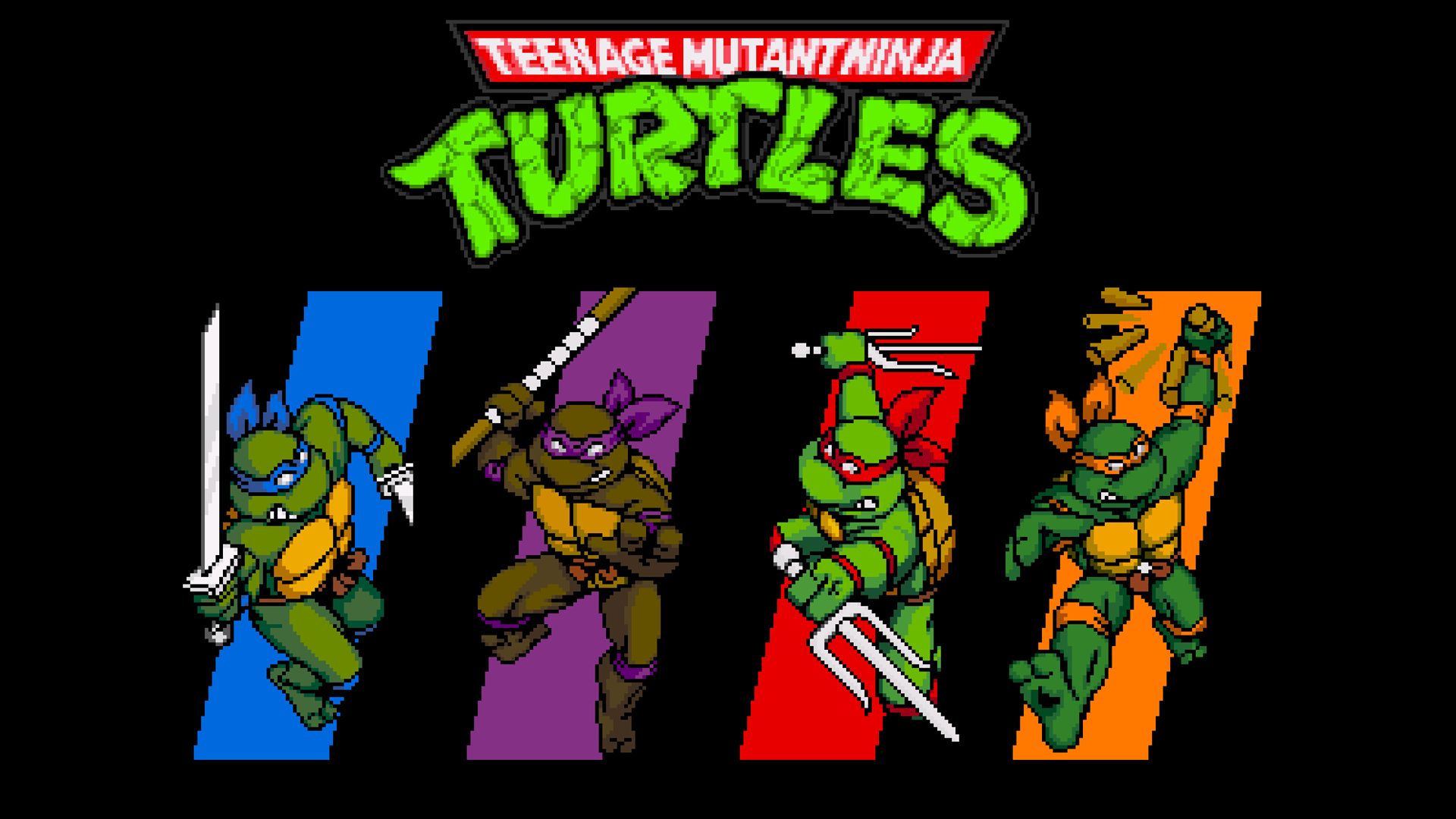 Teenage Mutant Ninja Turtles cartoon, 1920x1080 Full HD, PC
