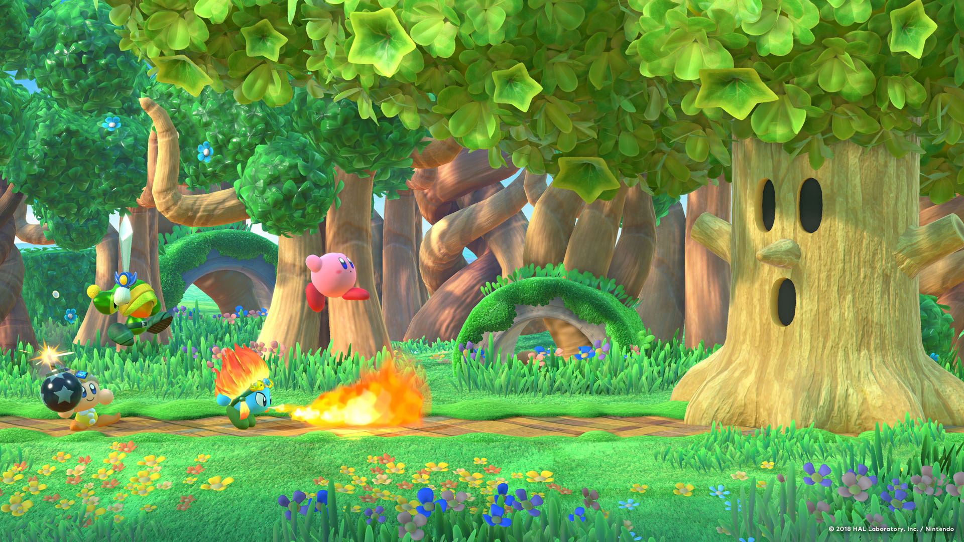 Kirby foresta verde, 1920x1080 Full HD, PC Desktop