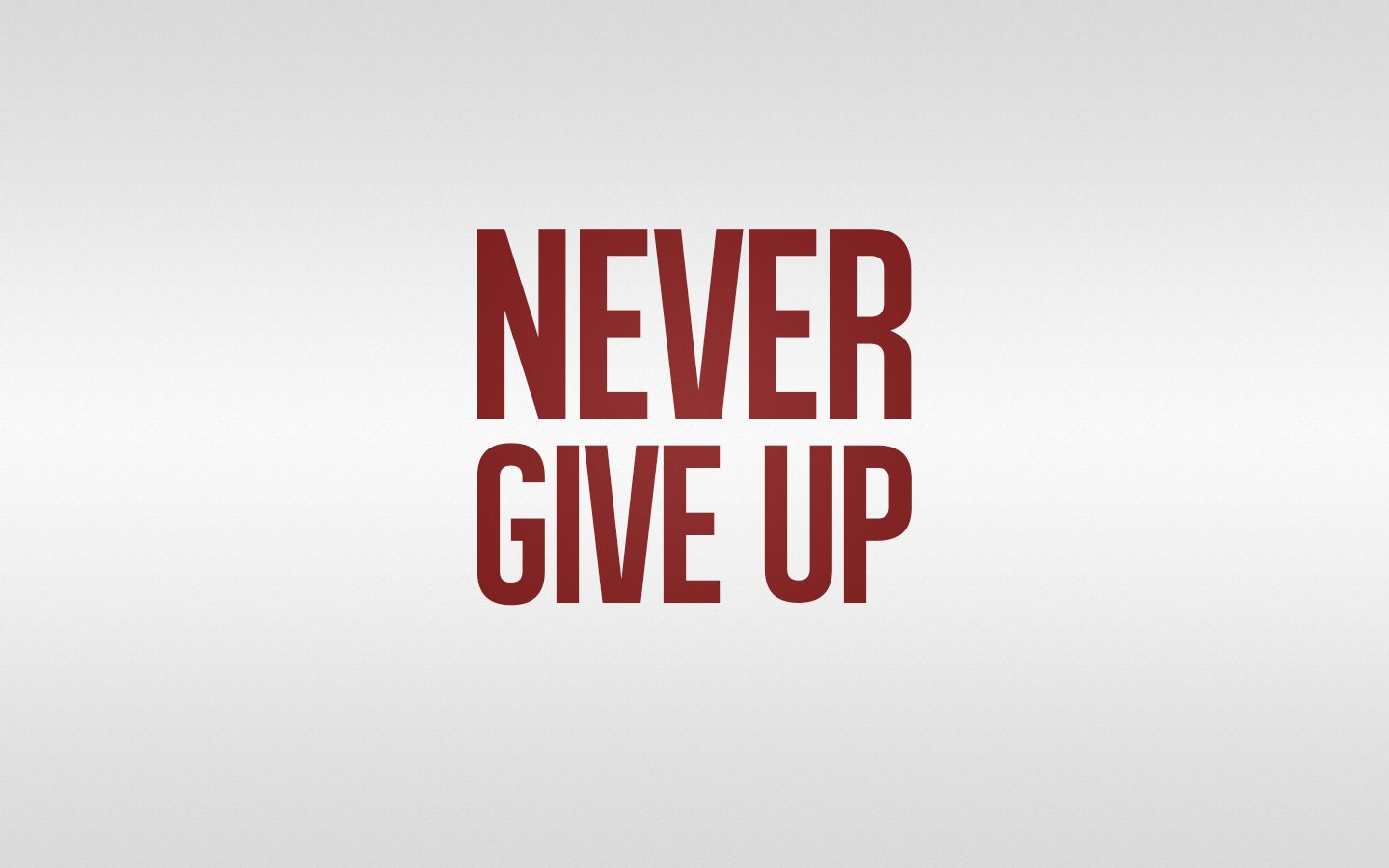 Scritta Never Give Up rossa, 1440x900 720p, PC