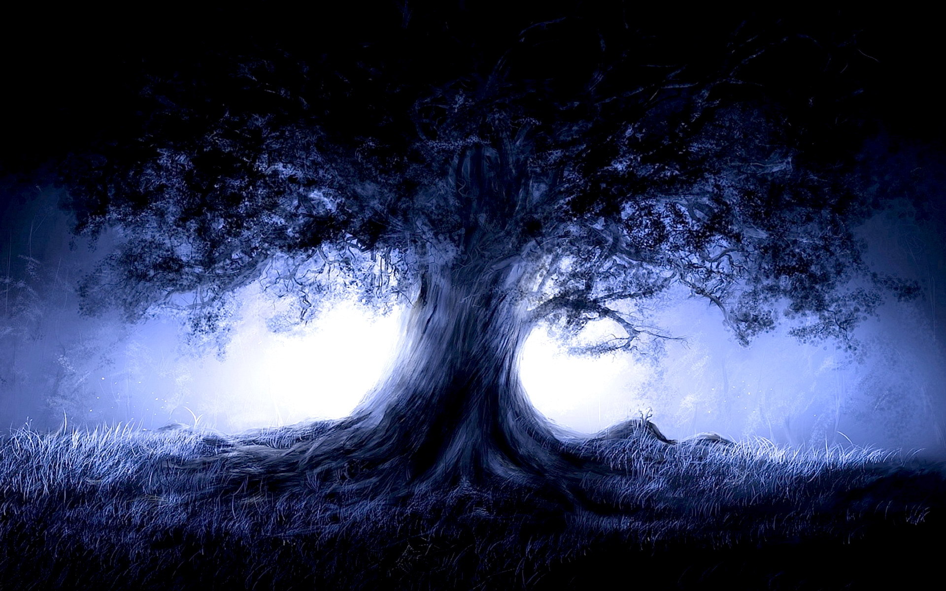 Albero silhouette nebbia blu, 1920x1200 Full HD+, Desktop