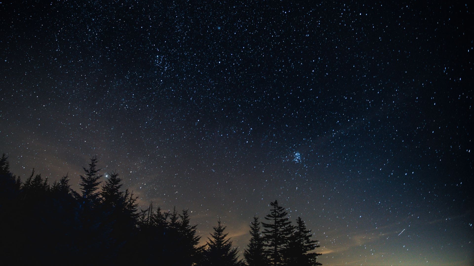 Cielo stellato foresta abeti, 1920x1080 Full HD, Laptop