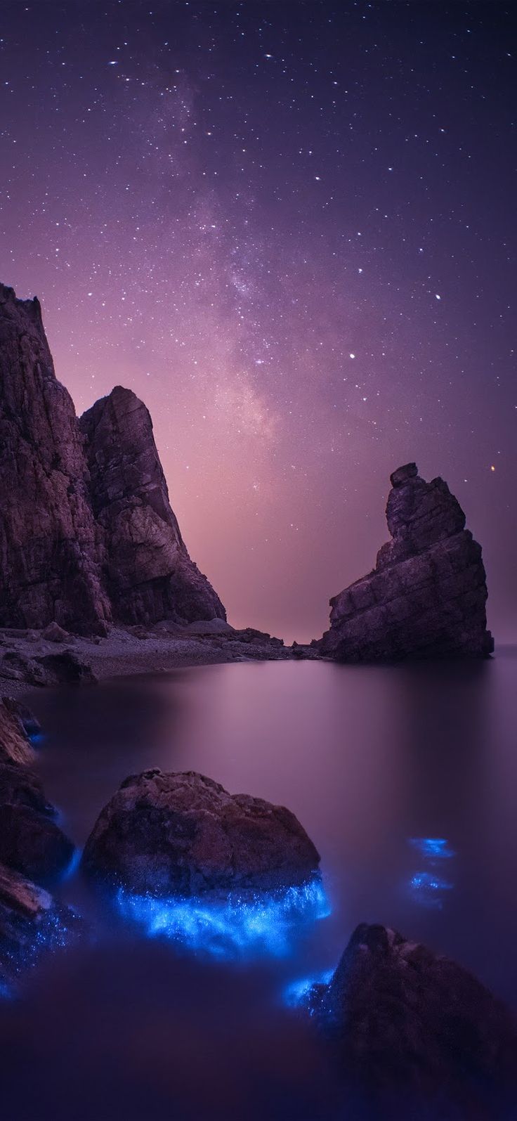Costa notturna plancton bioluminescente, 736x1595 Verticale, Mobile