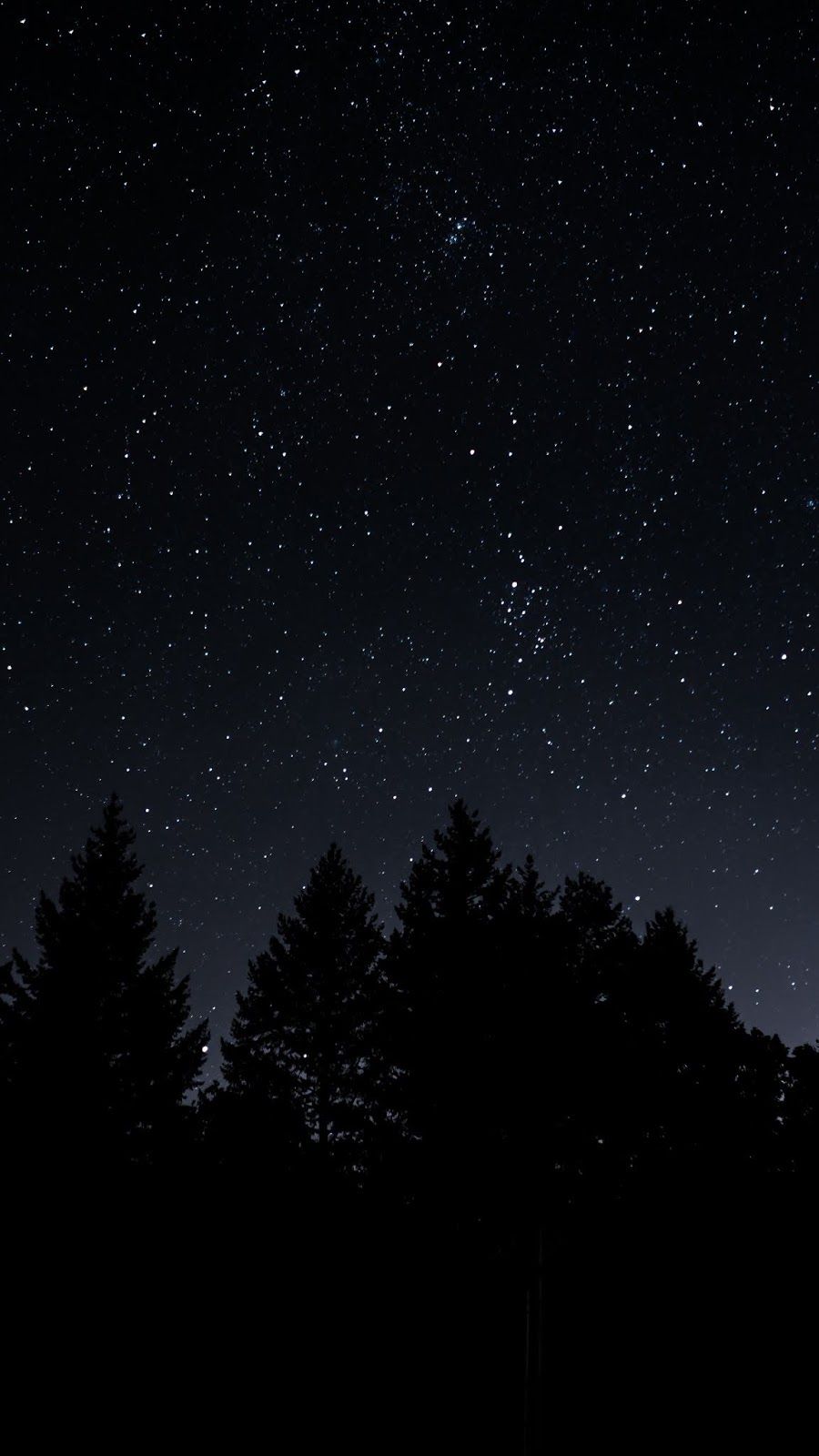 Cielo stellato con alberi notturni, 900x1600 Verticale, OnePlus