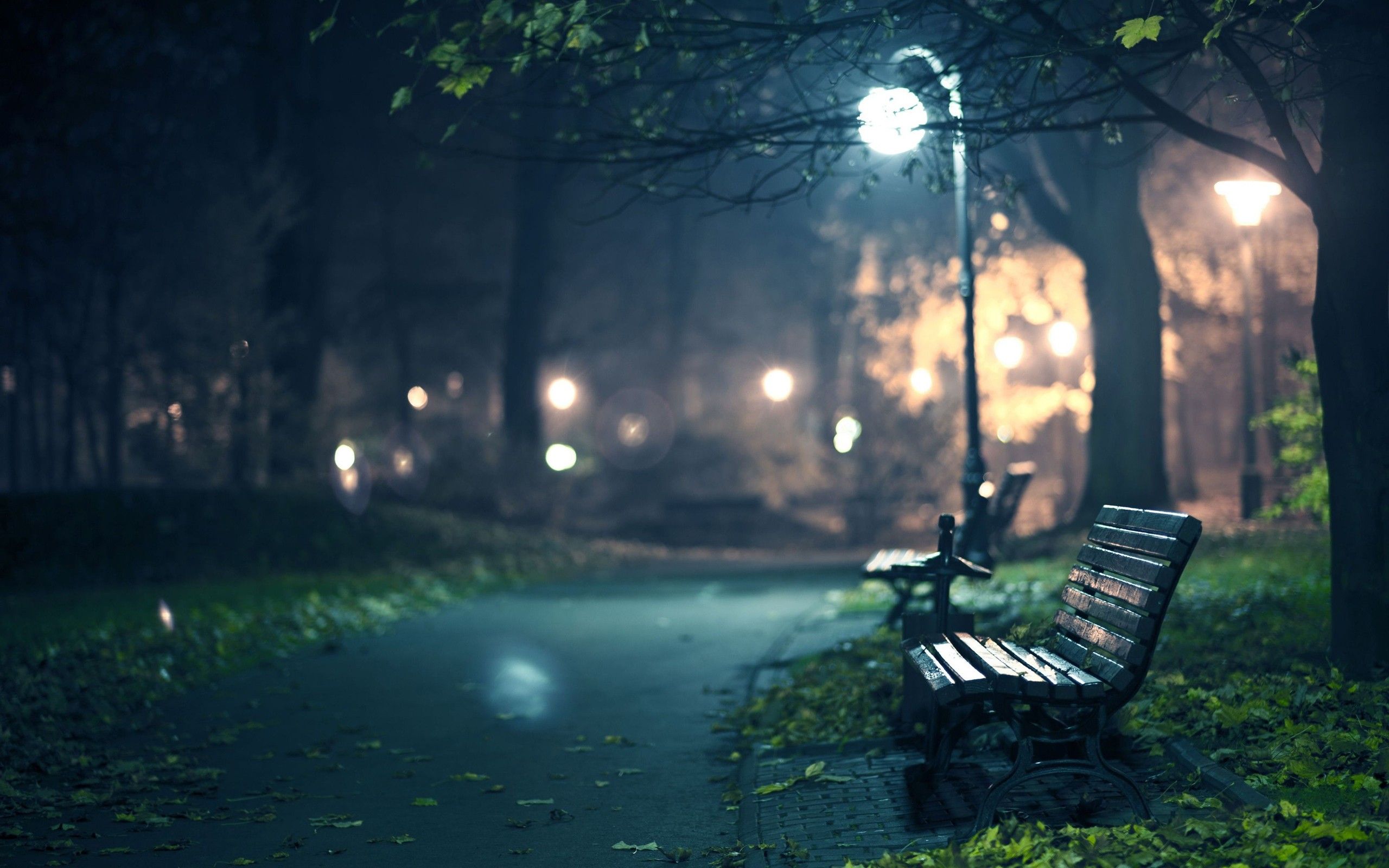 Panchina parco notturno nebbioso, 2560x1600 WQXGA, Desktop