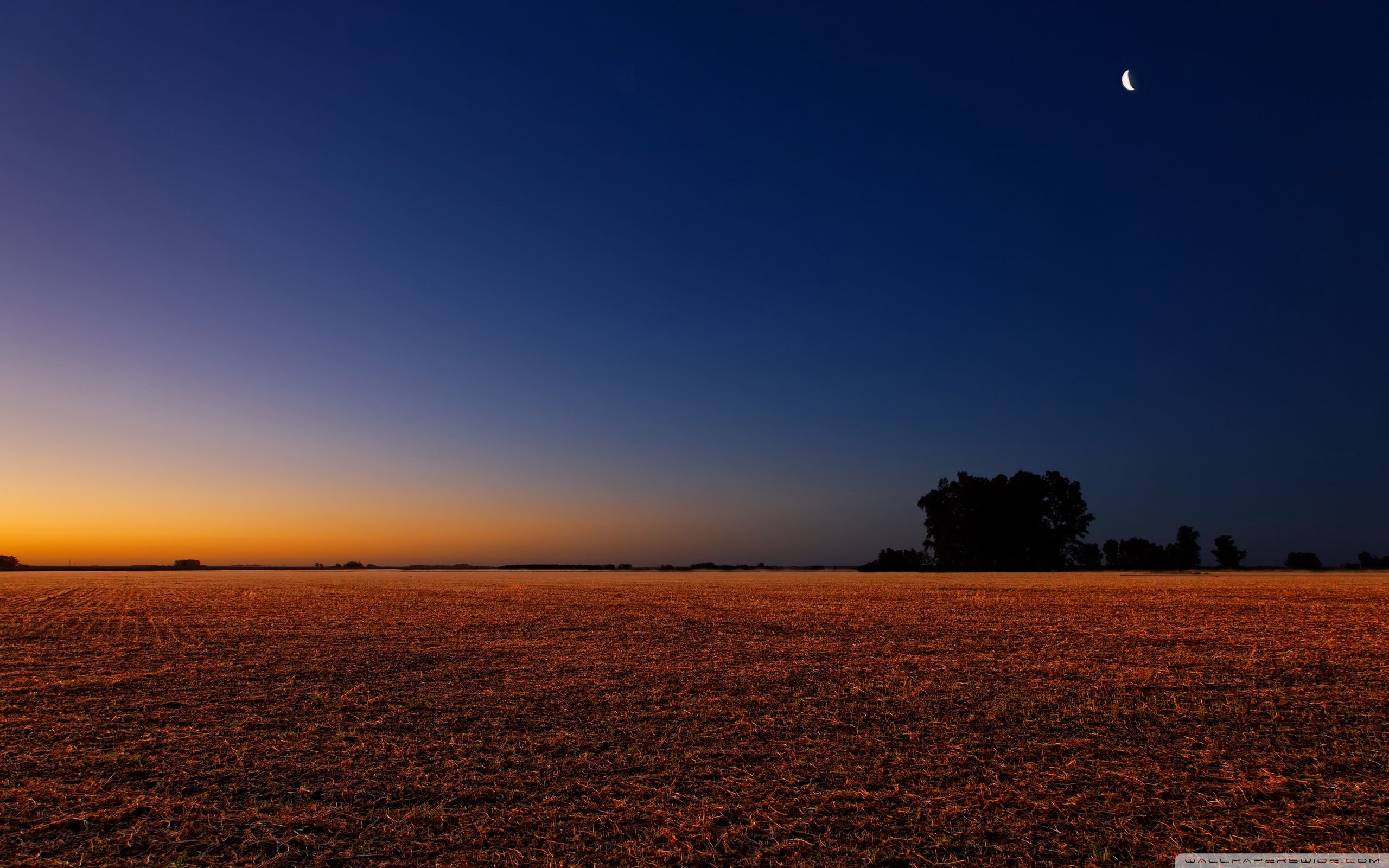 Paesaggio notturno campo con luna, 2560x1600 2K, Desktop