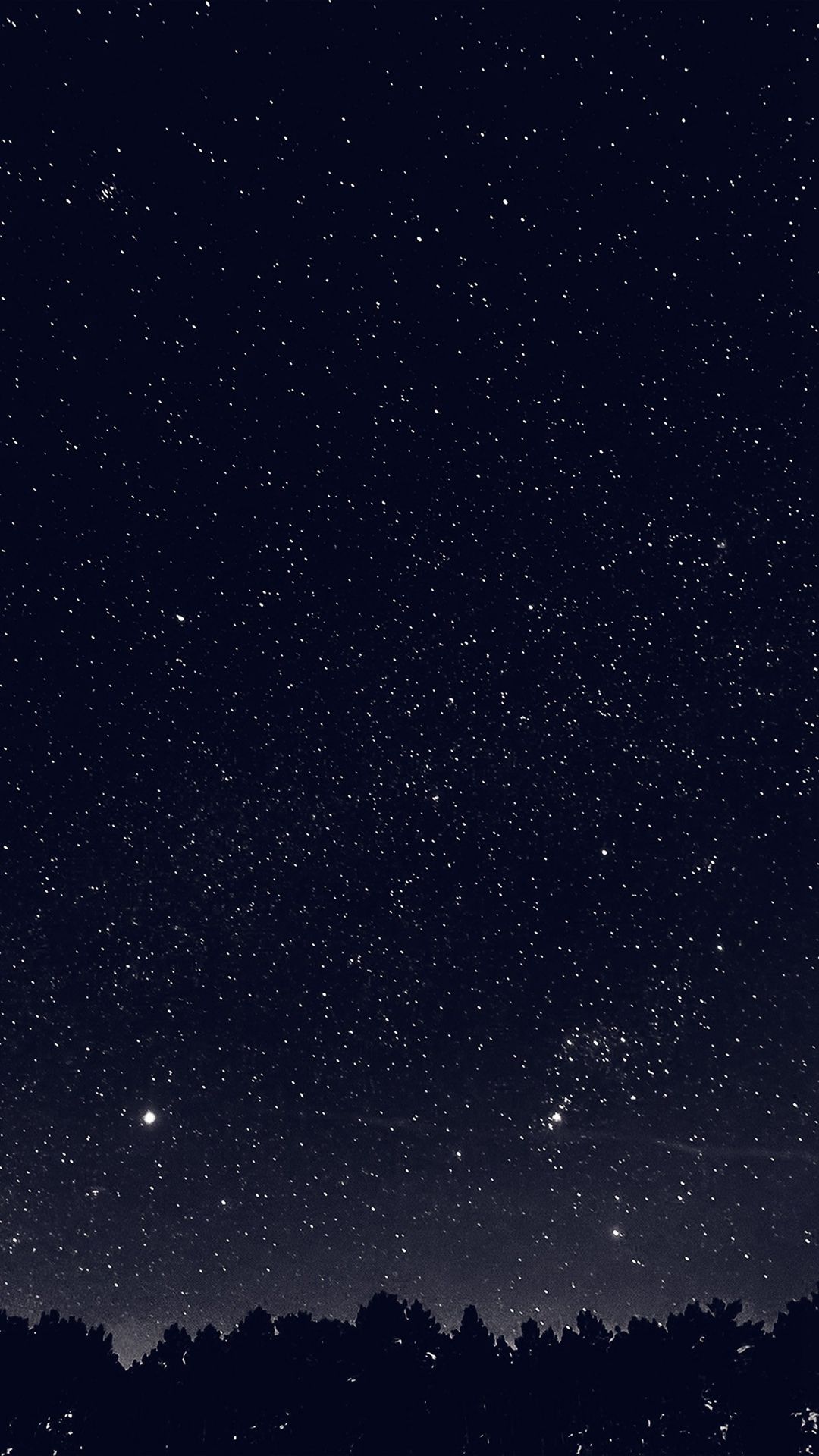 Cielo stellato notturno con alberi, 1080x1920 Verticale, Mobile