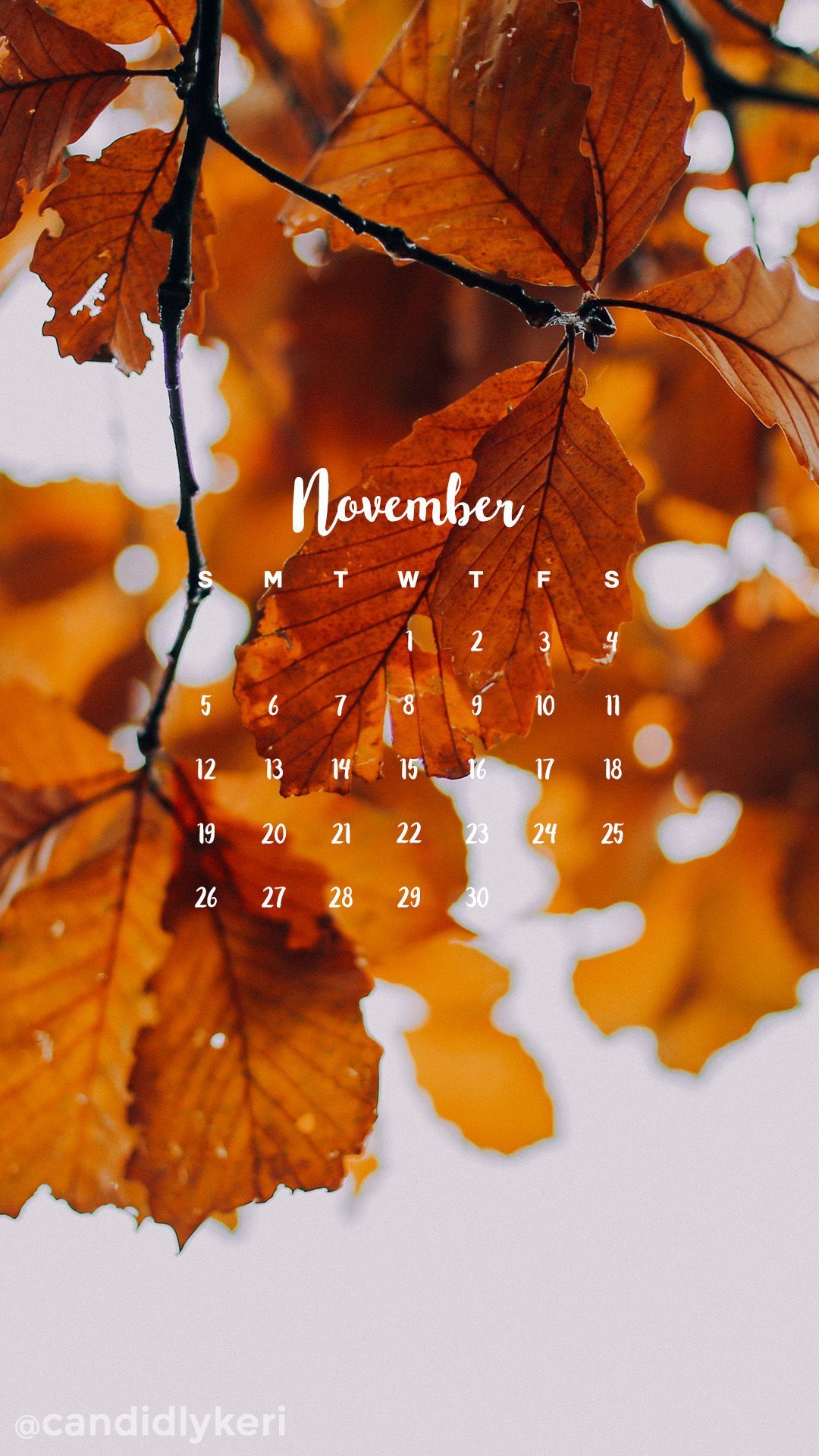 Foglie autunnali dorate, calendario novembre, 1080x1920 Full HD Verticale, iPhone