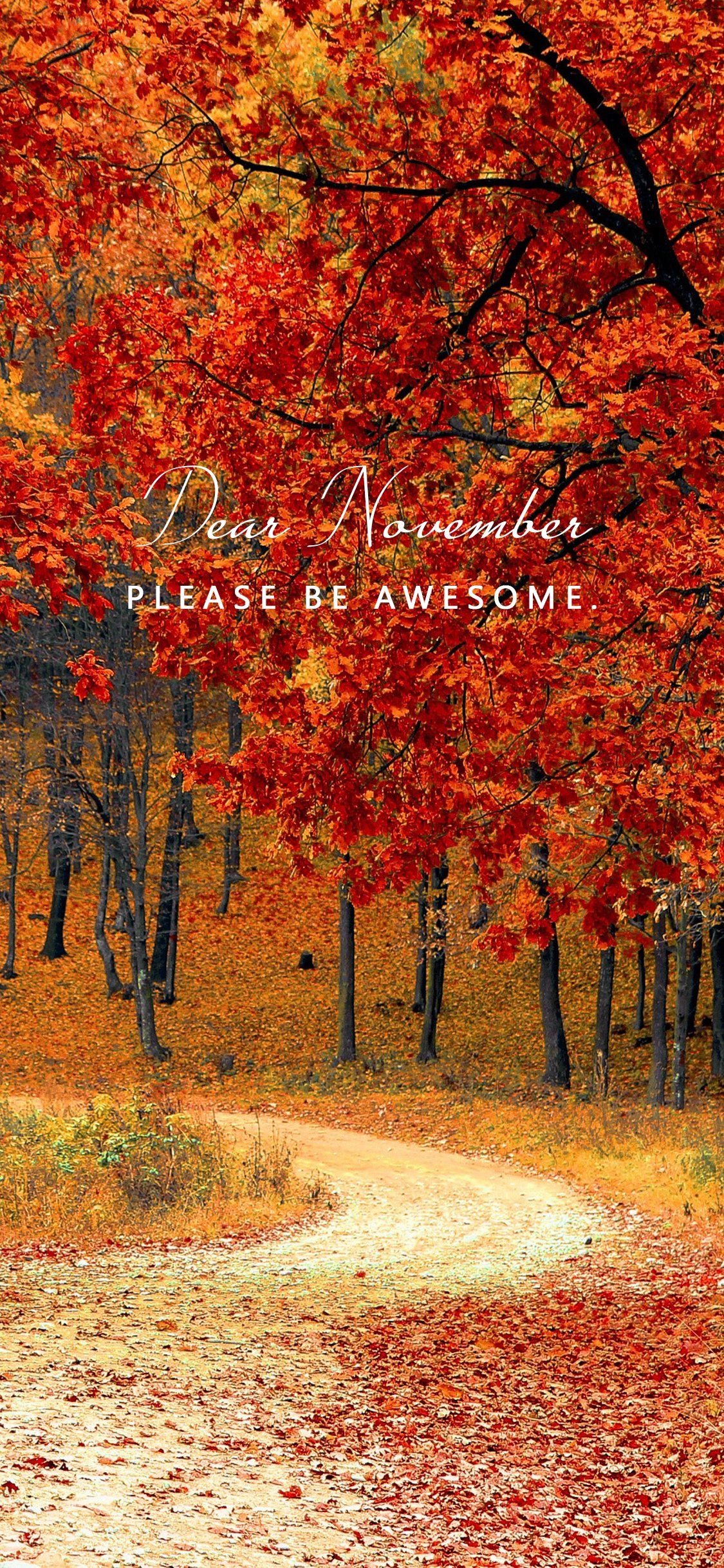 Sentiero autunnale foglie rosse, 1125x2436 Verticale, Mobile