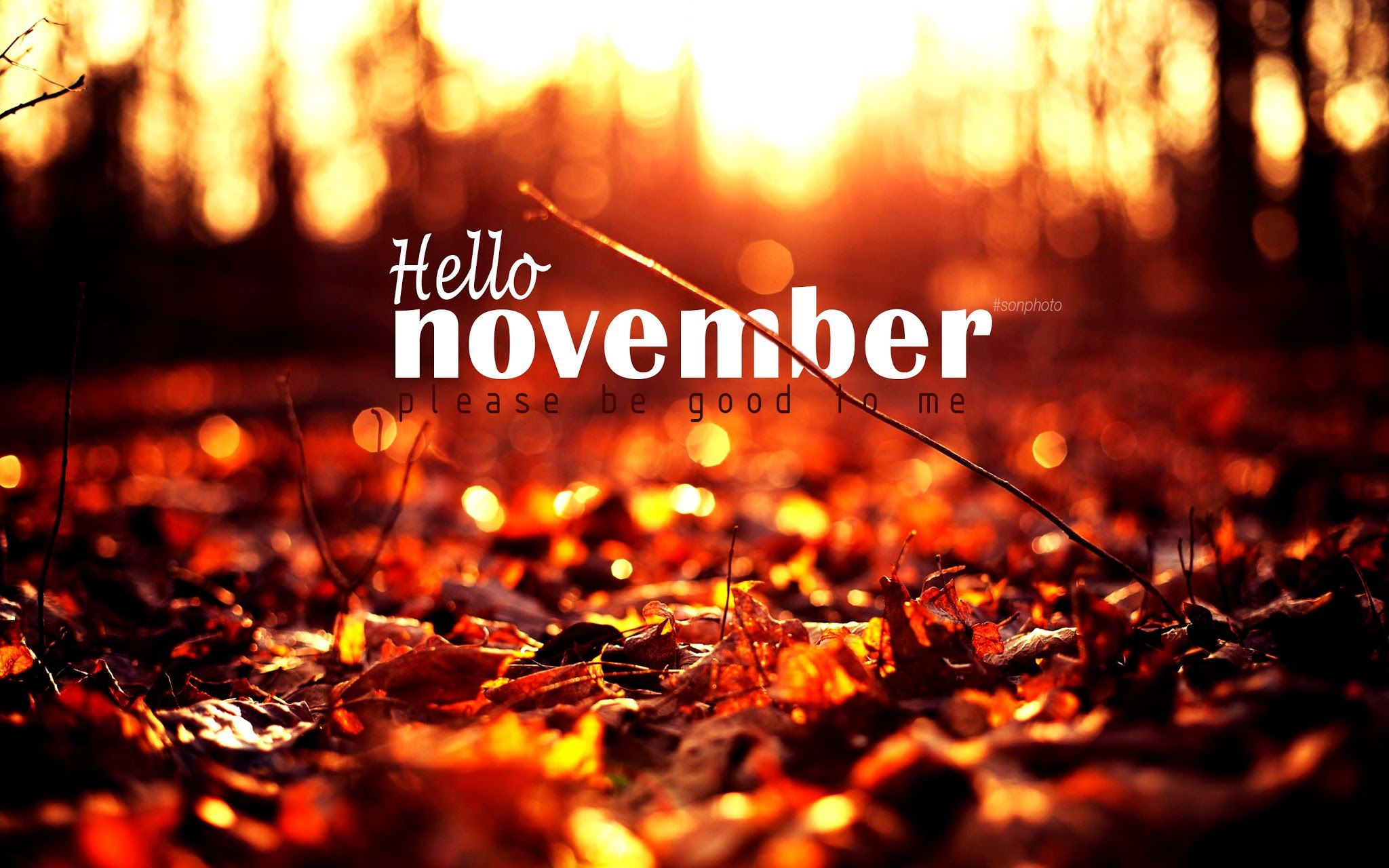 Foglie autunnali con testo Hello November, 2048x1280 alta risoluzione, PC