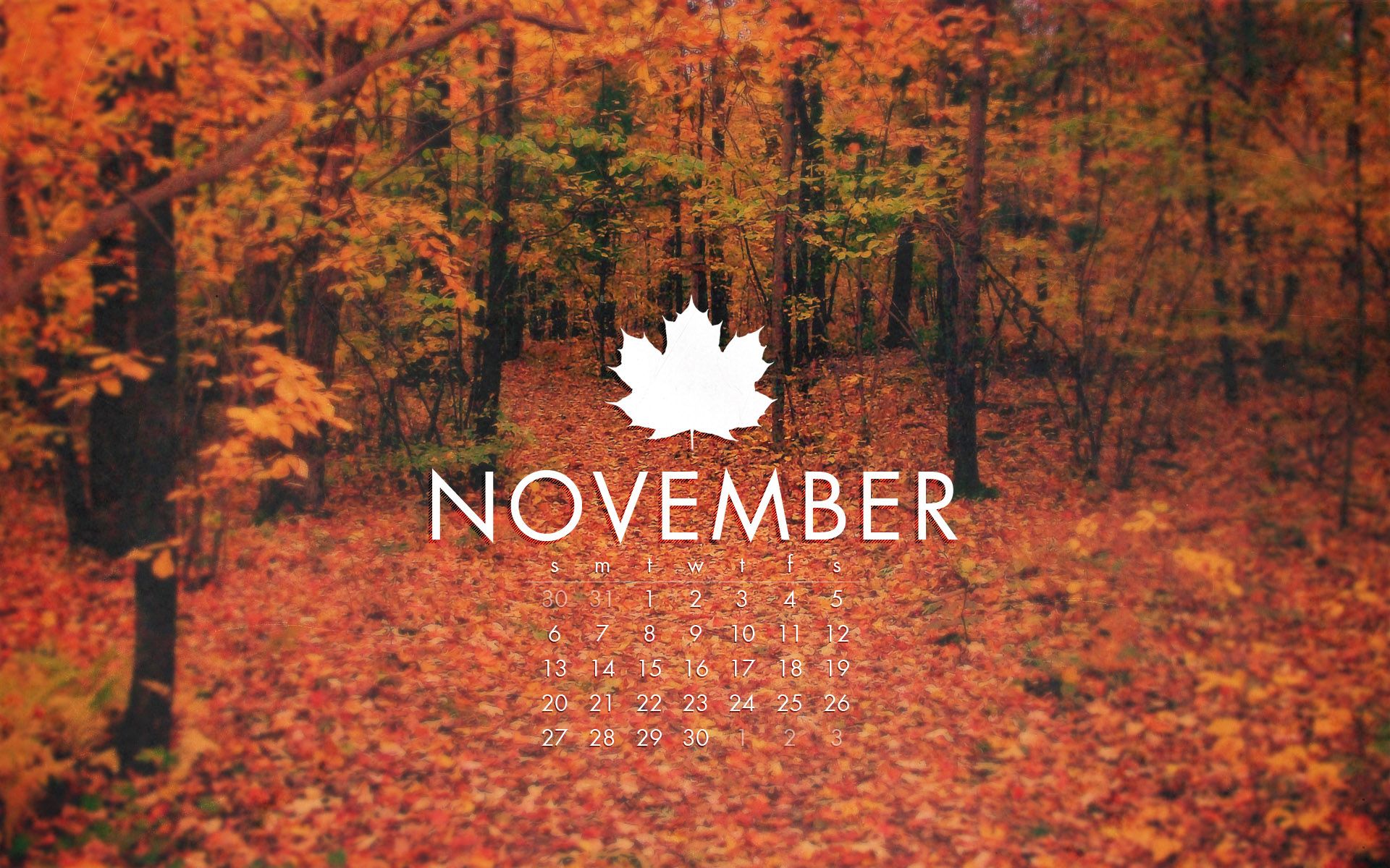 Foresta autunnale con calendario novembre, 1920x1200 WUXGA, Laptop