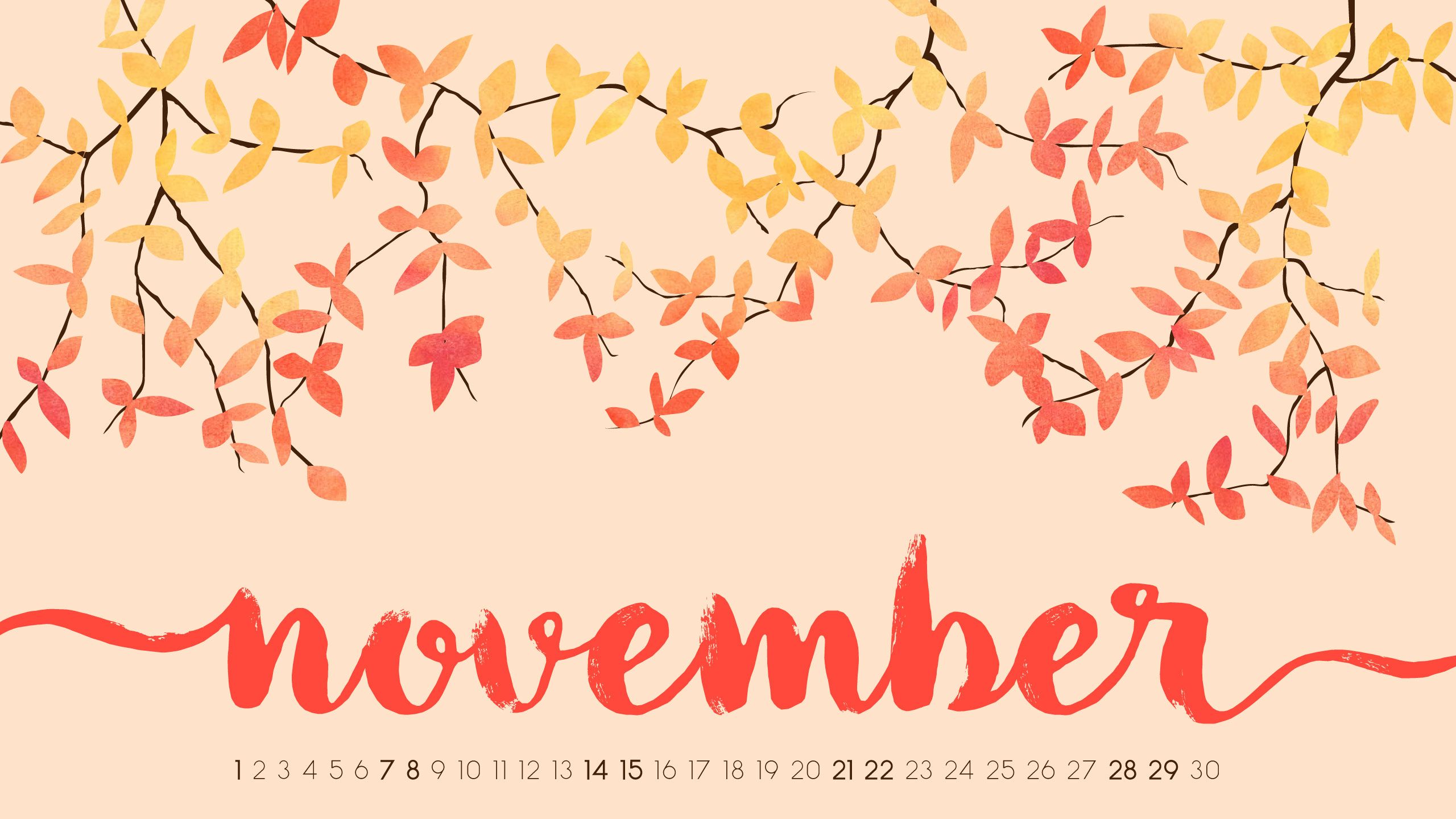 Calendario novembre foglie autunnali, 2560x1440 QHD, Laptop