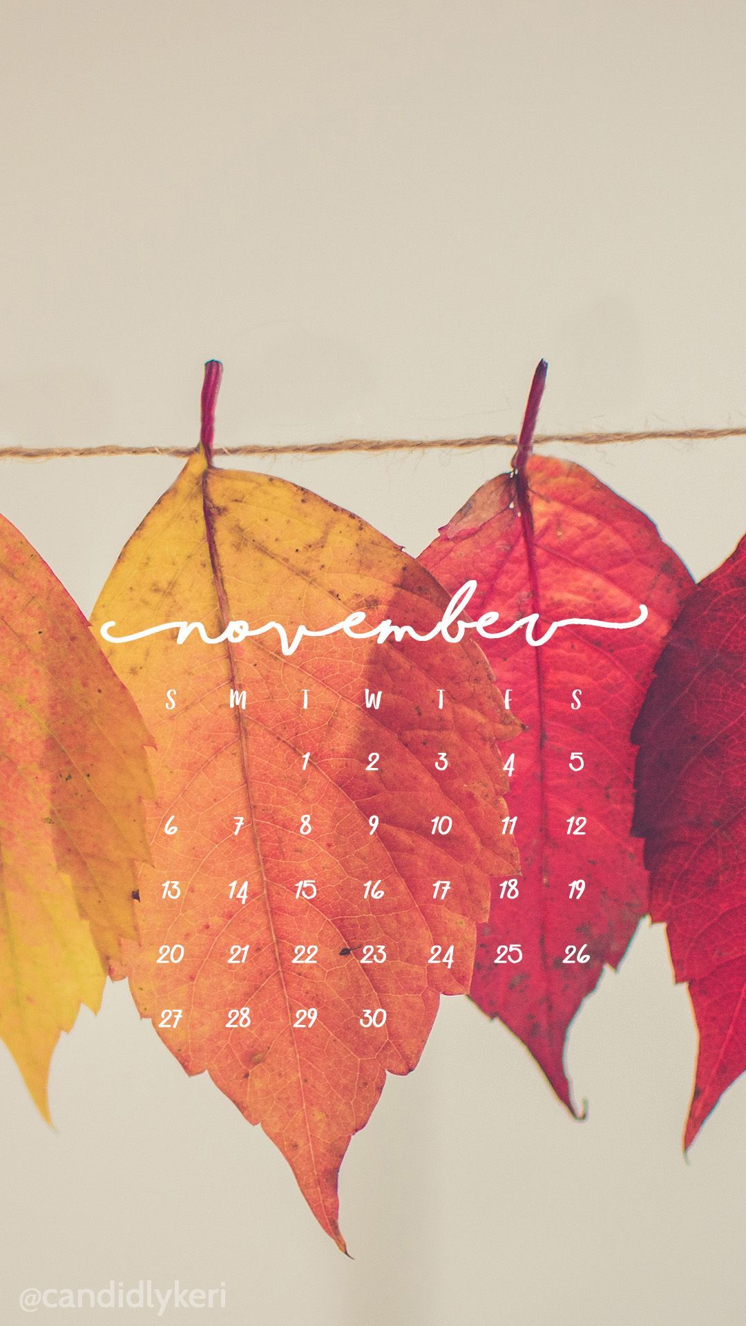 Foglie autunnali calendario novembre, 1080x1920 Full HD Verticale, Samsung Galaxy