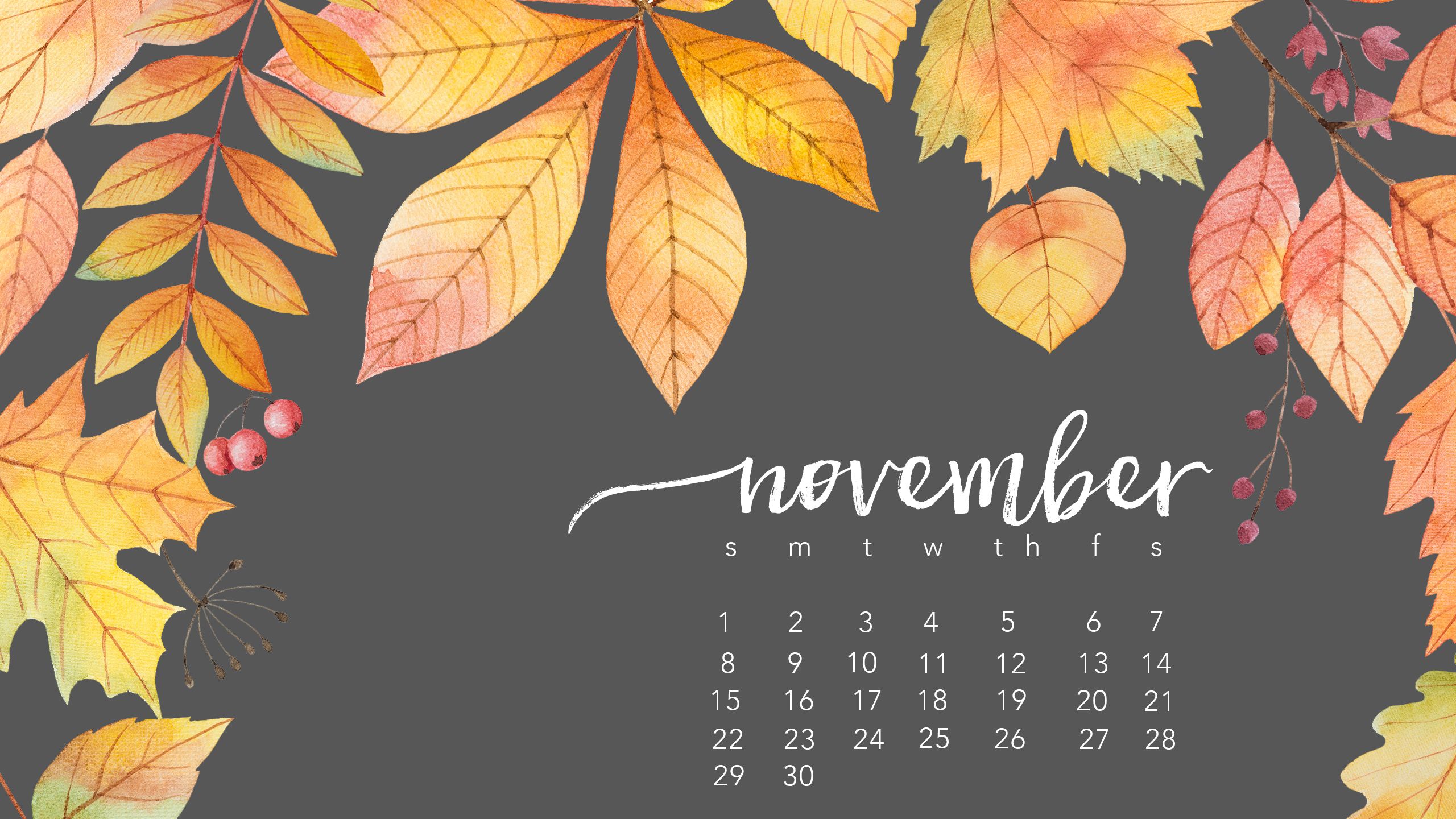 Calendario novembre foglie autunnali, 2560x1440 2K QHD, PC
