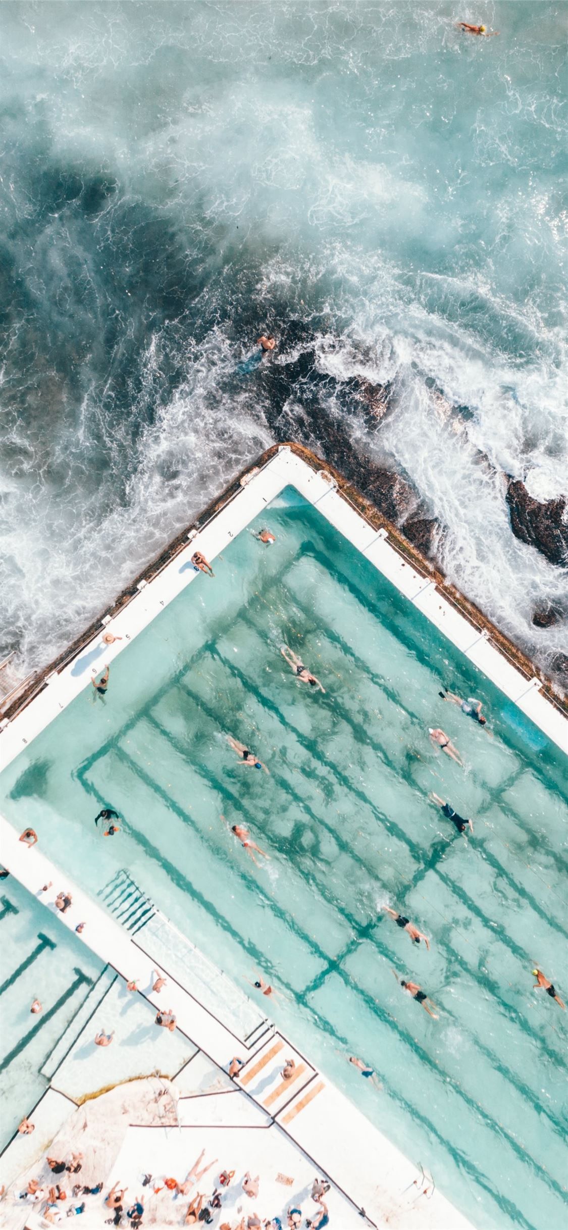 Piscina Bondi Icebergs vista aerea, 1125x2436 Full HD Verticale, Smartphone
