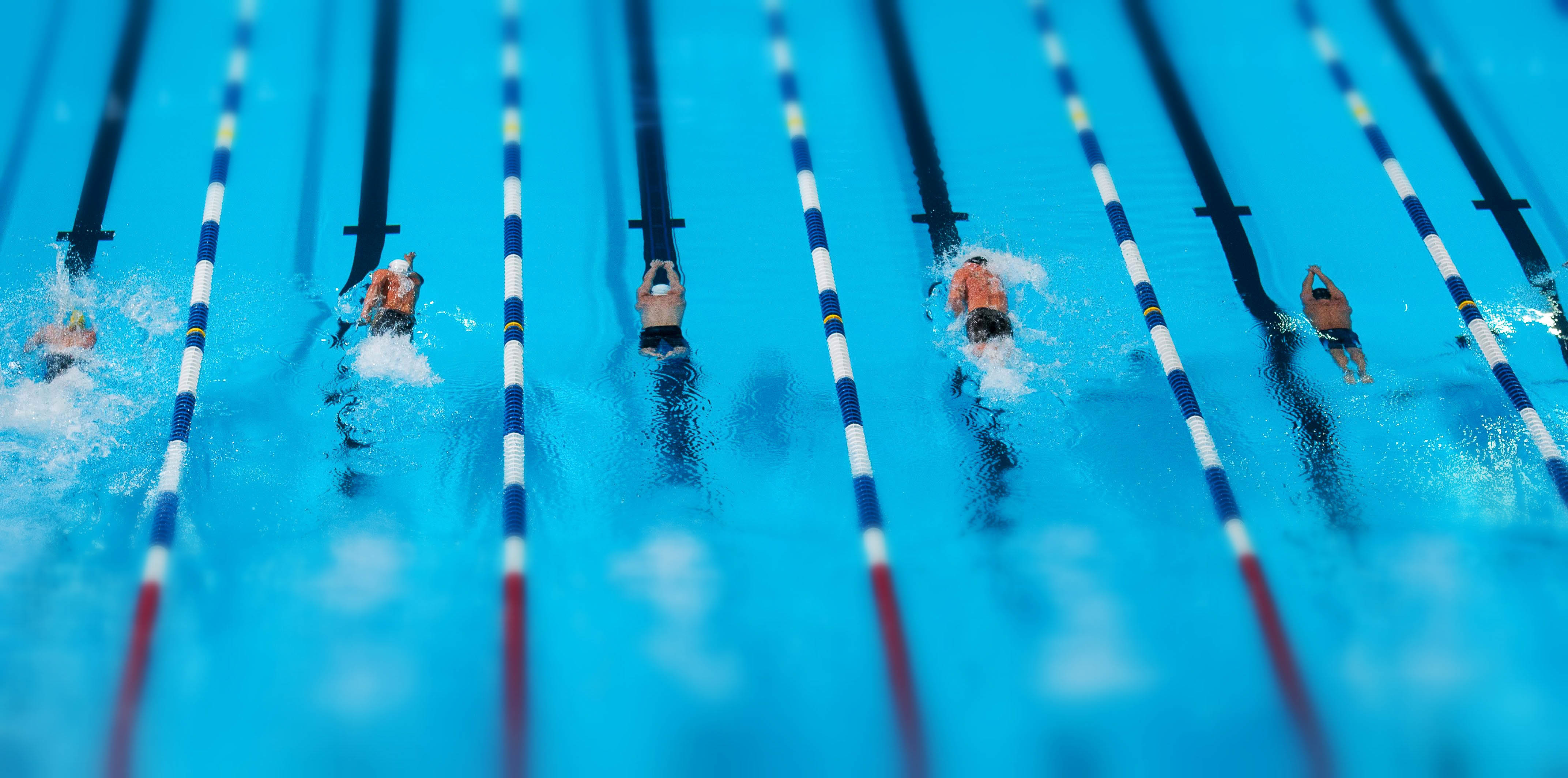 Nuotatori in corsie piscina olimpica, 4288x2127 4K Ultra HD, Monitor 4K