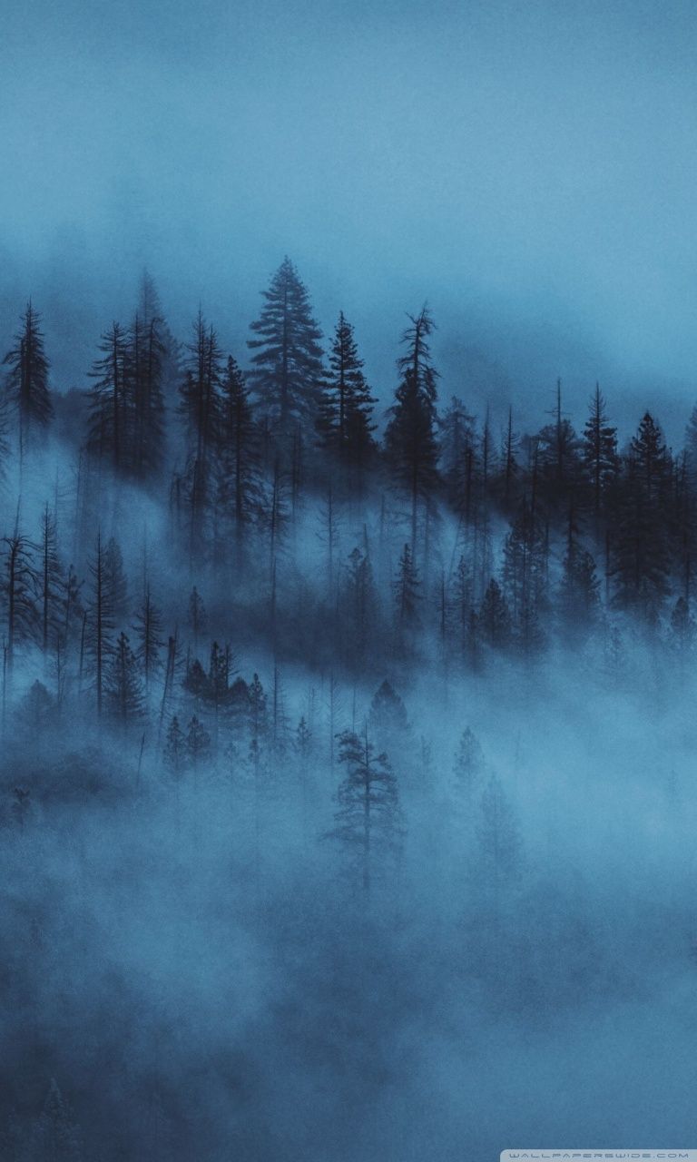 Foresta nebbiosa blu scuro, 768x1280 Verticale, POCO