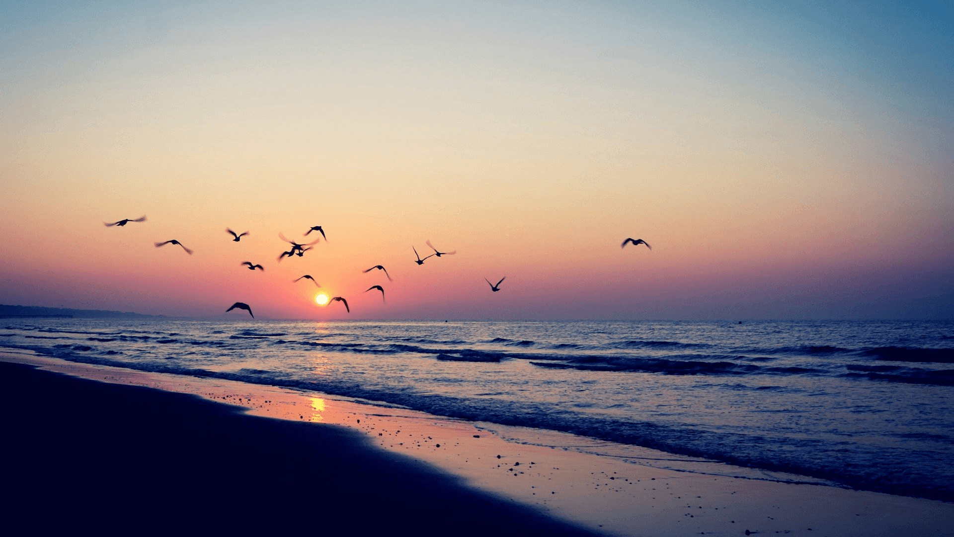 Tramonto spiaggia con gabbiani, 1920x1080 1080p, Monitor Gaming