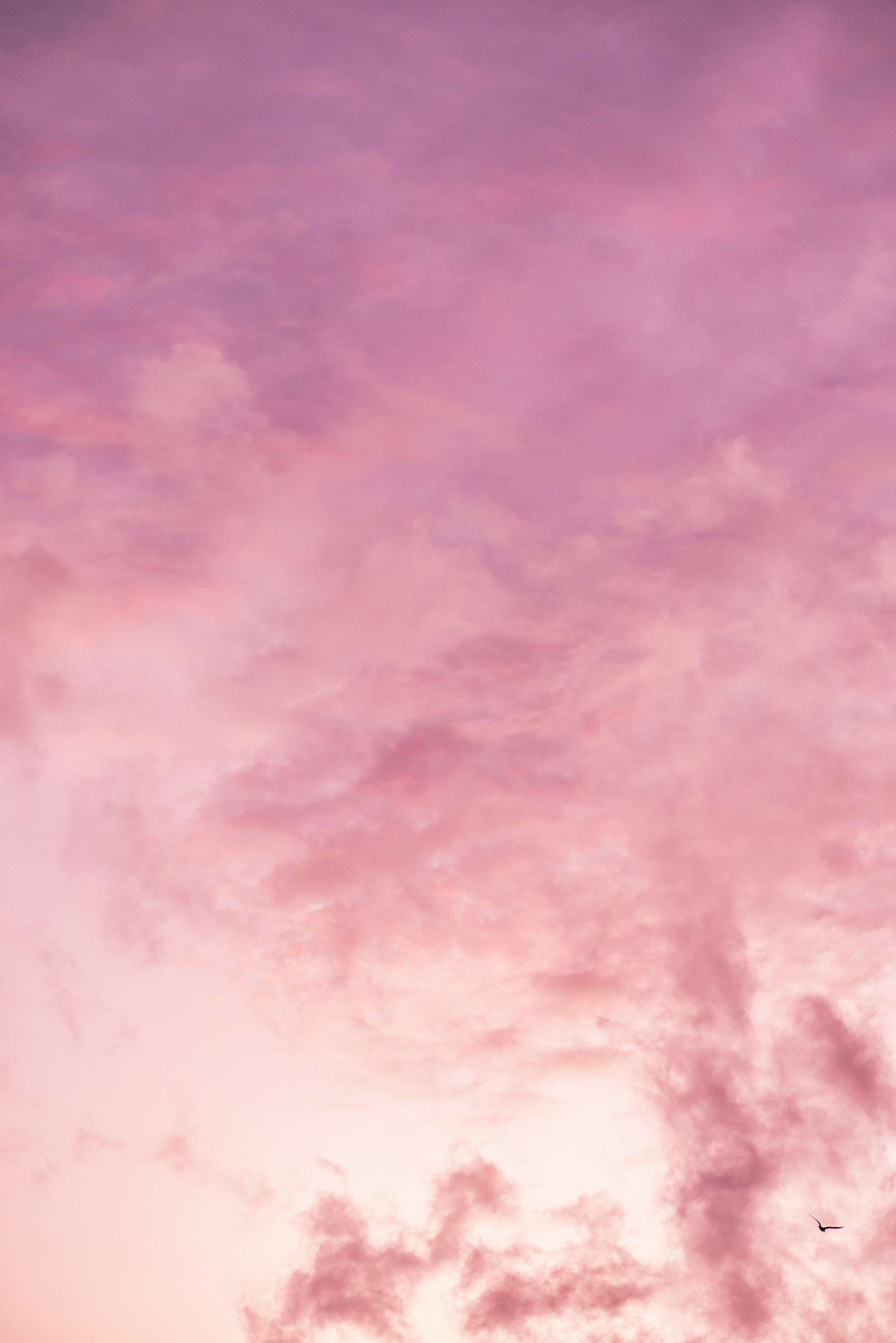 Nuvole rosa al tramonto, 4016x6016 Verticale, Mobile