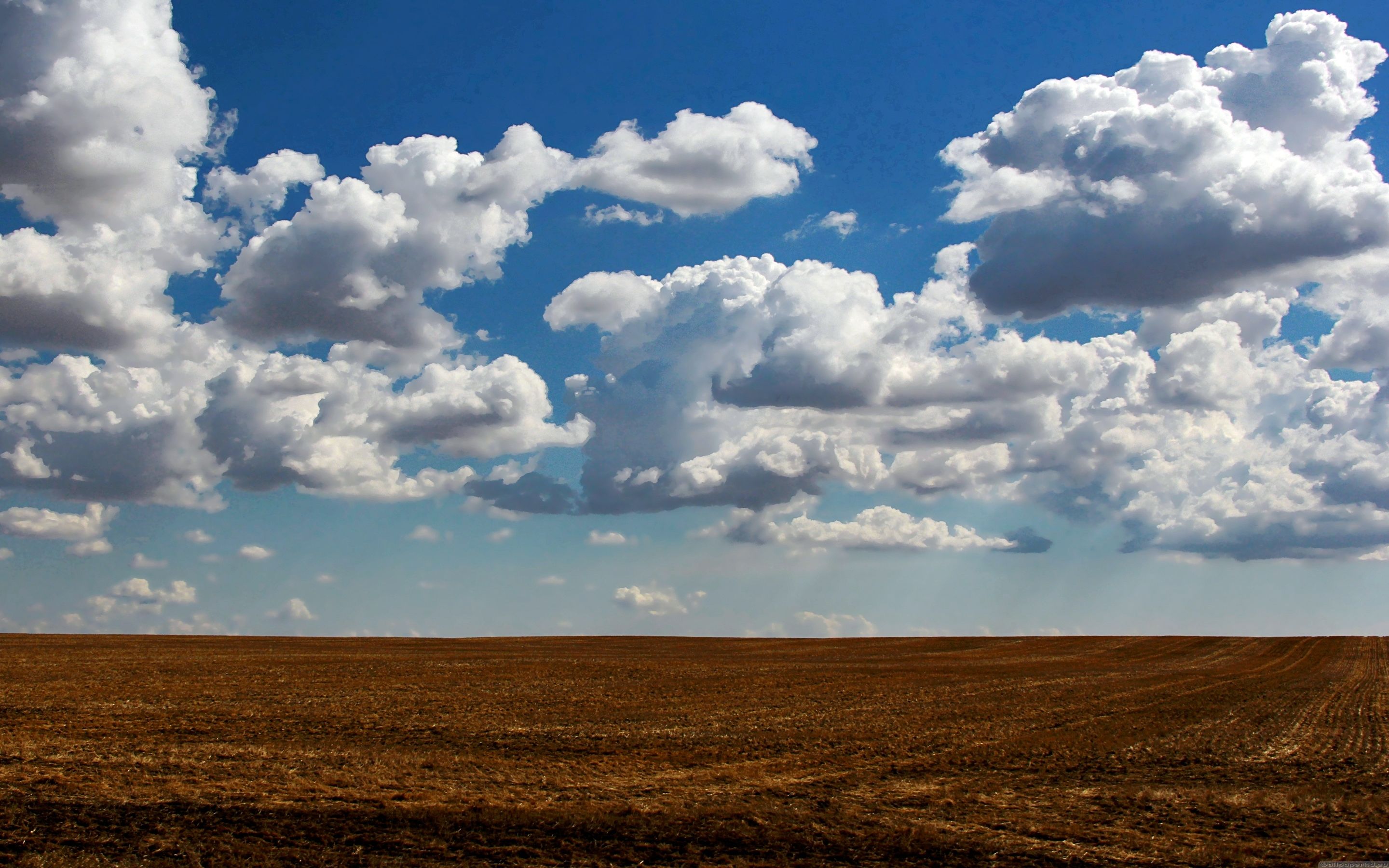 Nuvole bianche su campo marrone, 2880x1800 2K+, Laptop