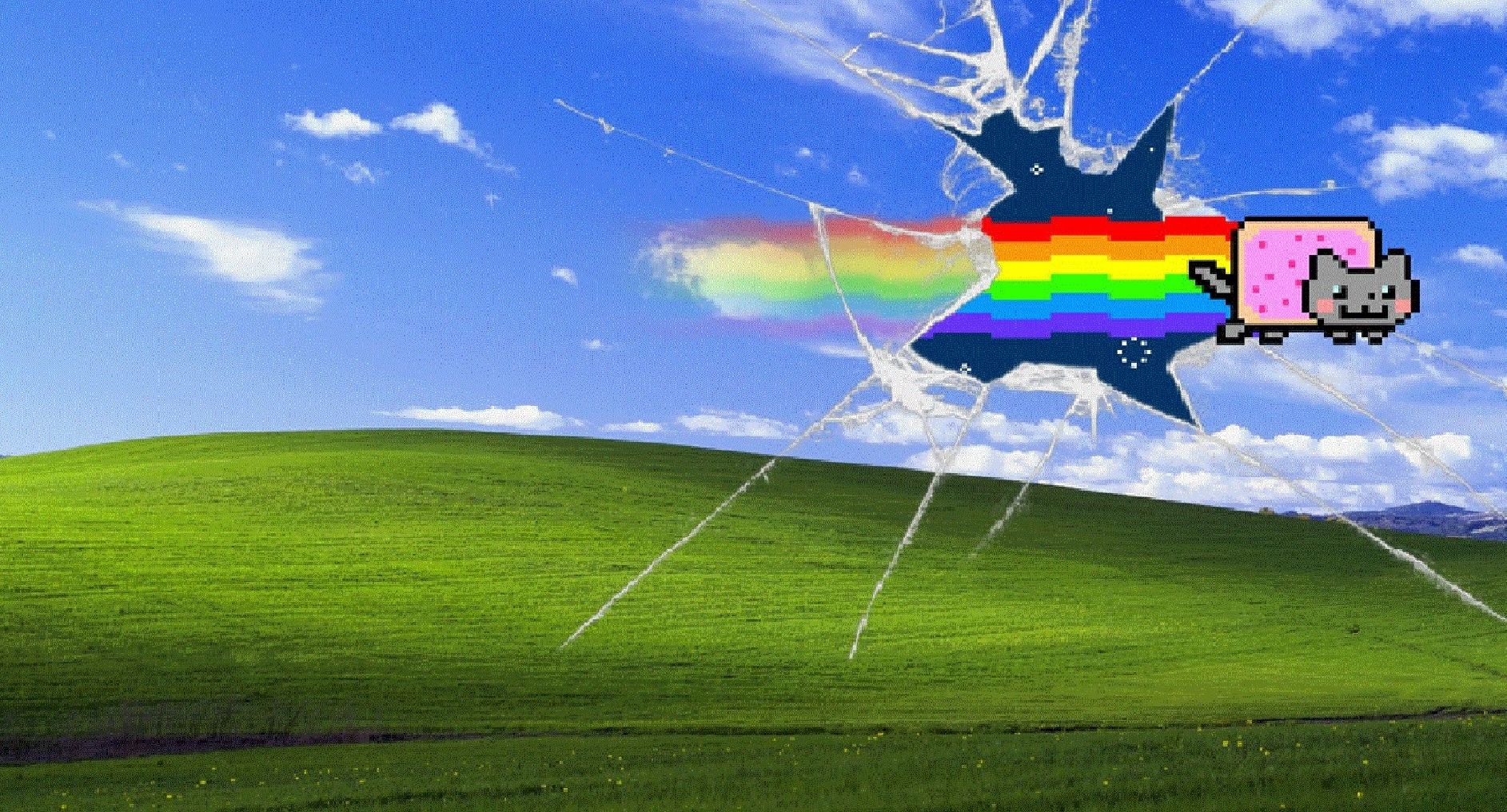 Nyan Cat sfondo Windows XP, 1885x1016 HD, PC Desktop