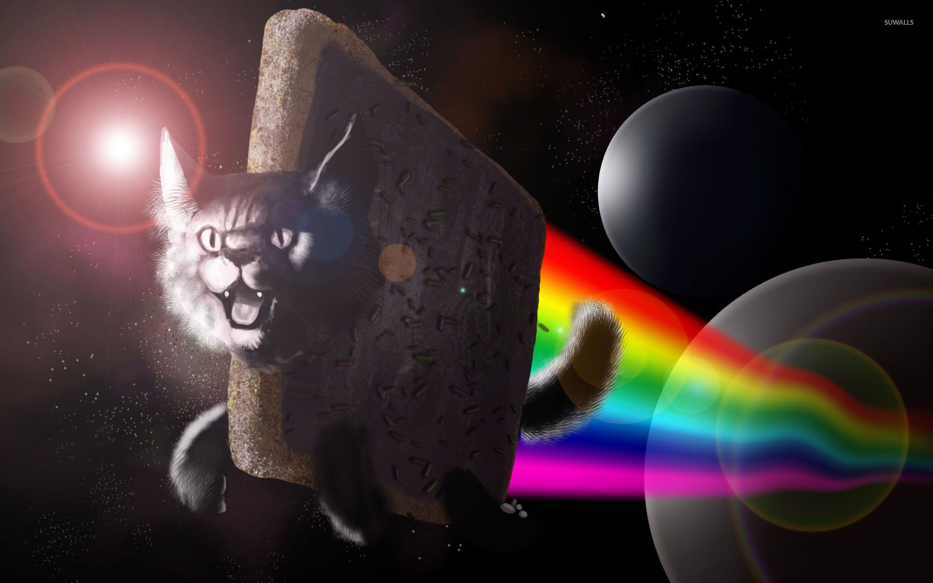 Nyan Cat spazio arcobaleno, 1920x1200 WUXGA, PC