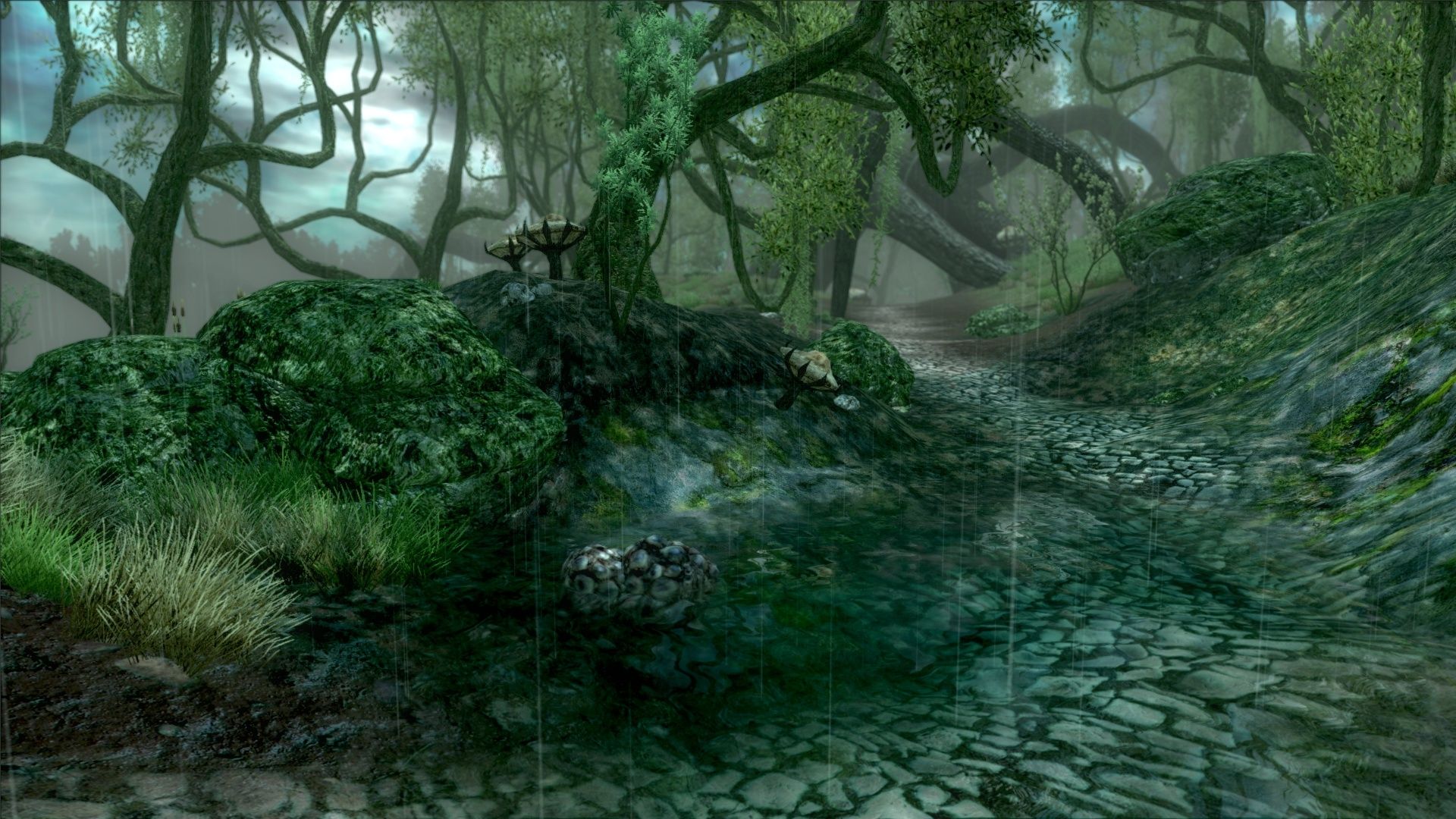 Foresta oscura The Elder Scrolls, 1920x1080 Full HD, Laptop
