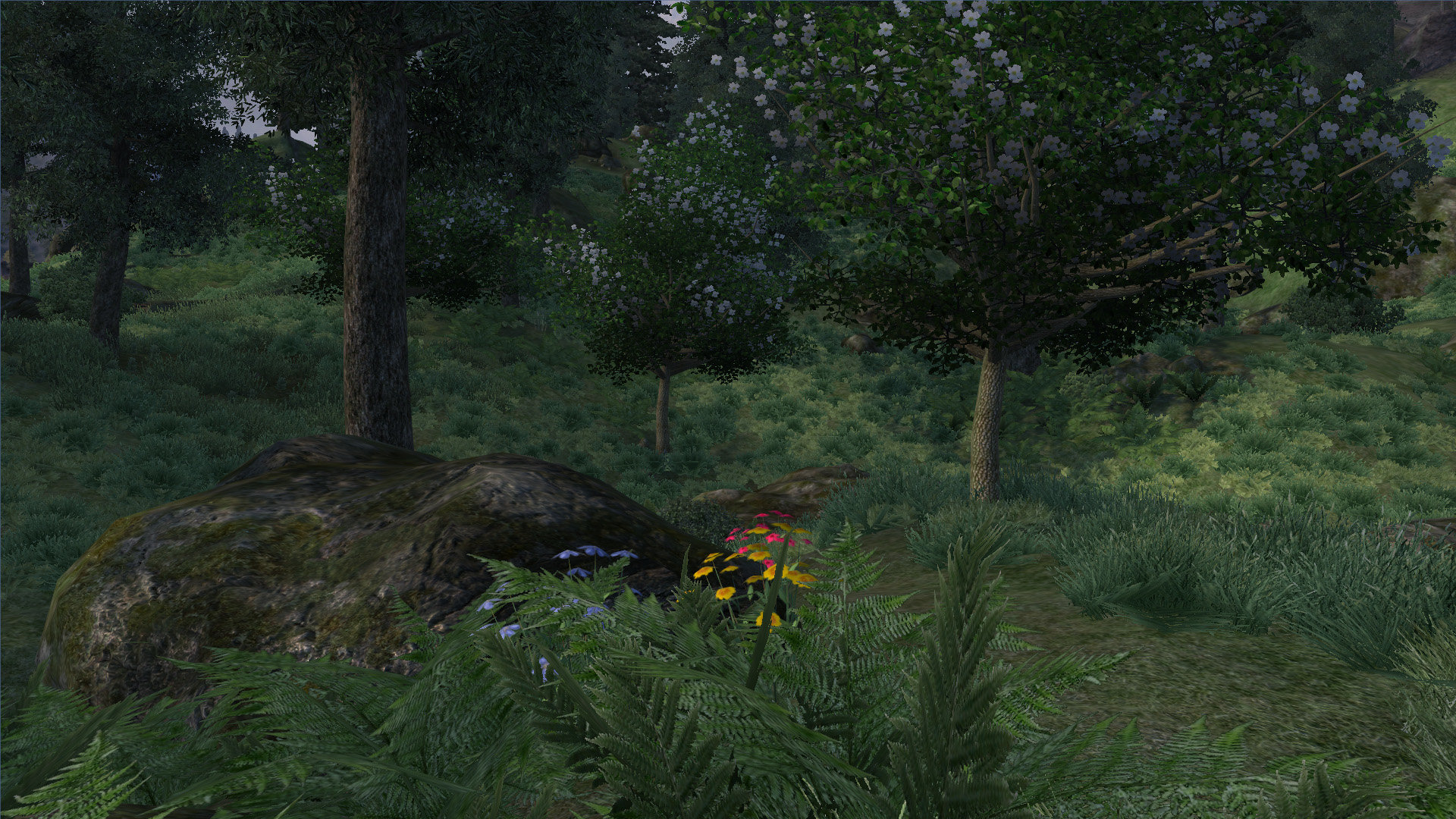 Foresta scena videogioco Oblivion, 1920x1080 Full HD, PC Desktop