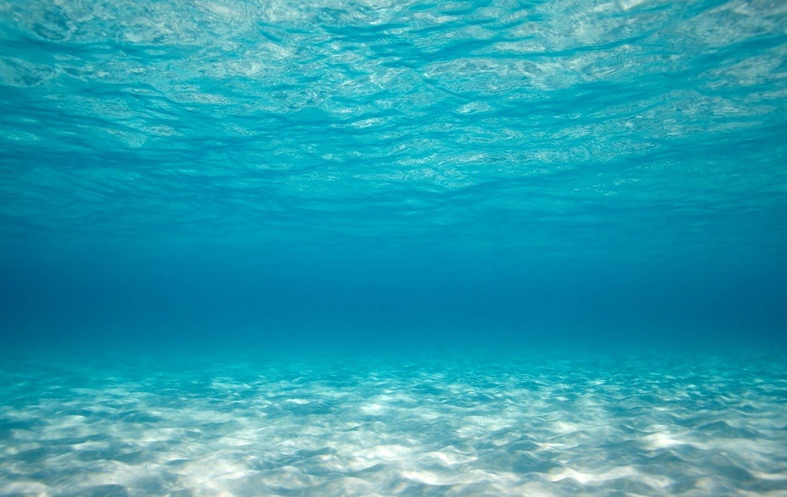 Fondale oceanico blu turchese, 1600x1011 HD Ready, PC Desktop