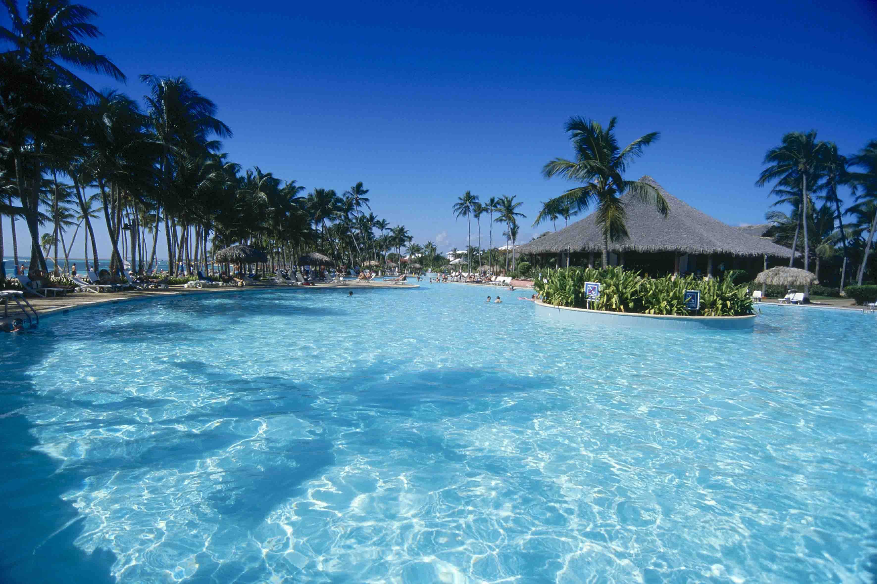 Piscina resort tropicale con palme, 3543x2362 2K+, PC Desktop