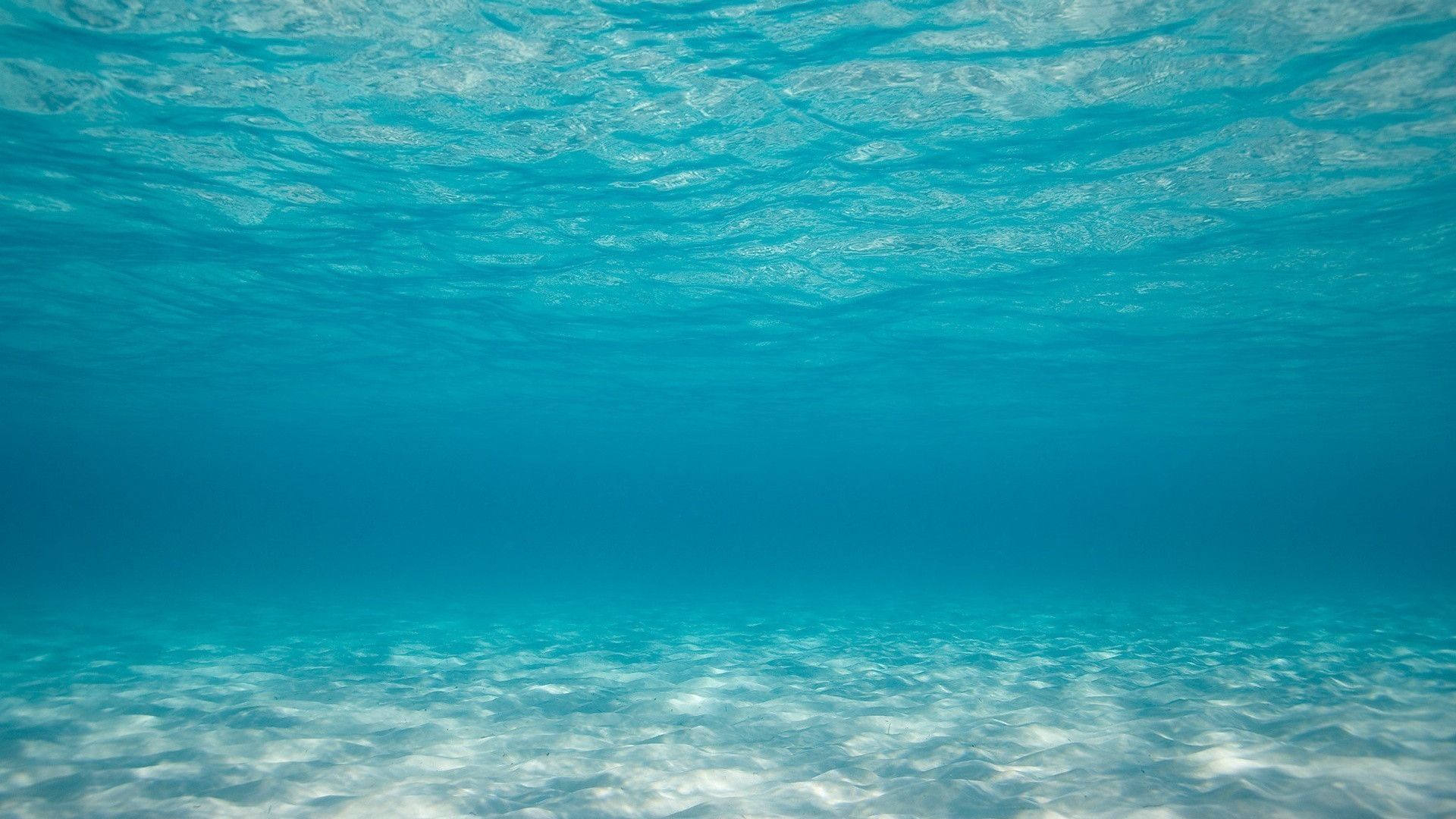 Fondale oceanico blu turchese, 1920x1080 1080p, PC