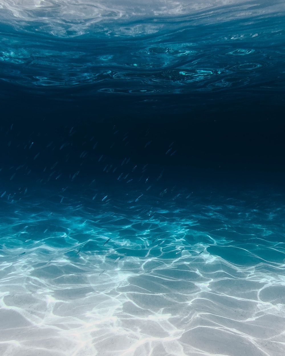 Fondale oceano blu profondo, sfondi Mare, 1000x1250 Full HD Verticale, iPhone