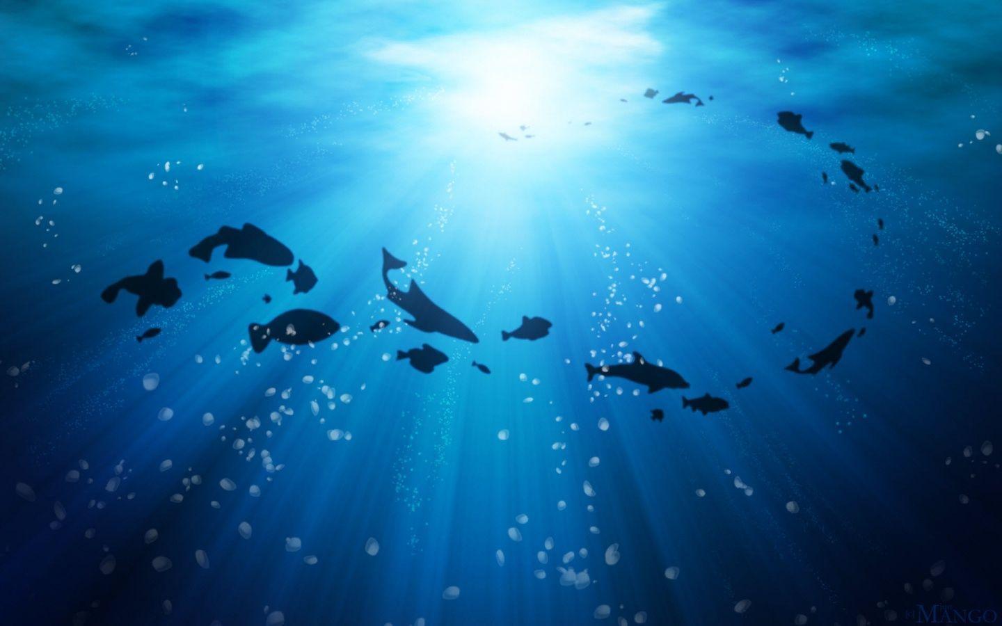 Pesci silhouette oceano blu, 1440x900 HD, Desktop