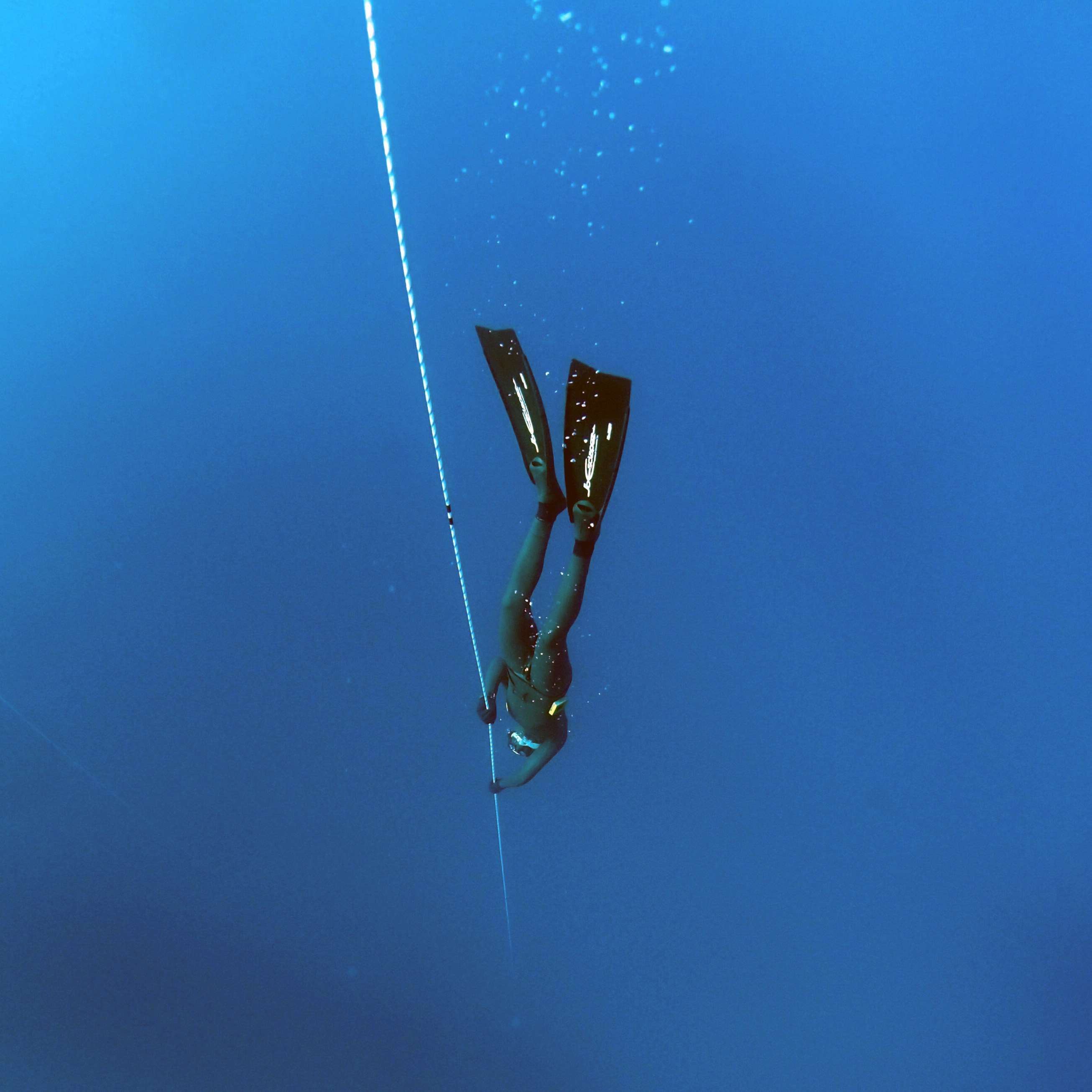 Subacqueo in apnea profonda, 2612x2612 2K, Desktop