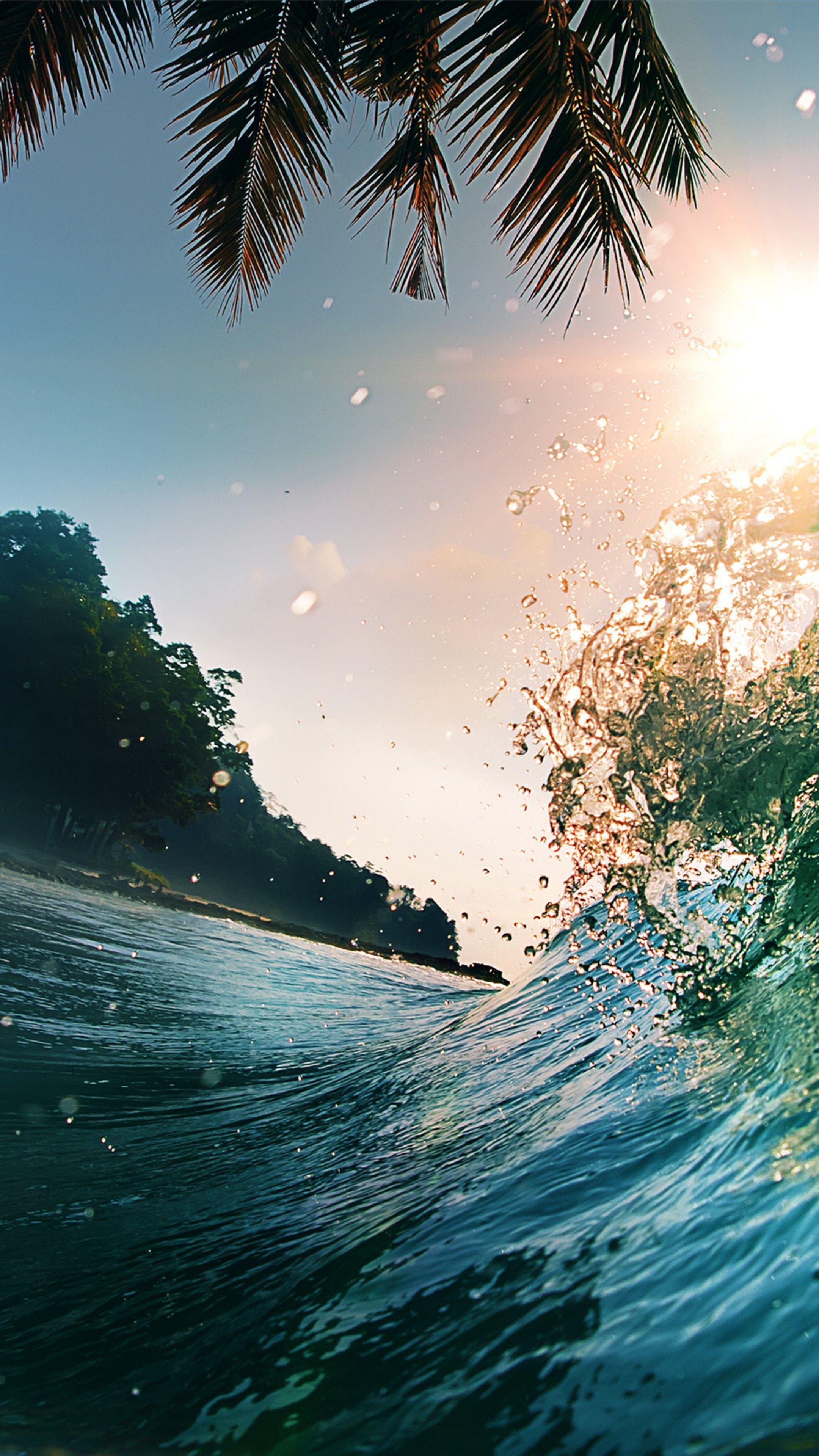 Onda oceano con palme e sole, 2160x3840 Full HD Verticale, Smartphone